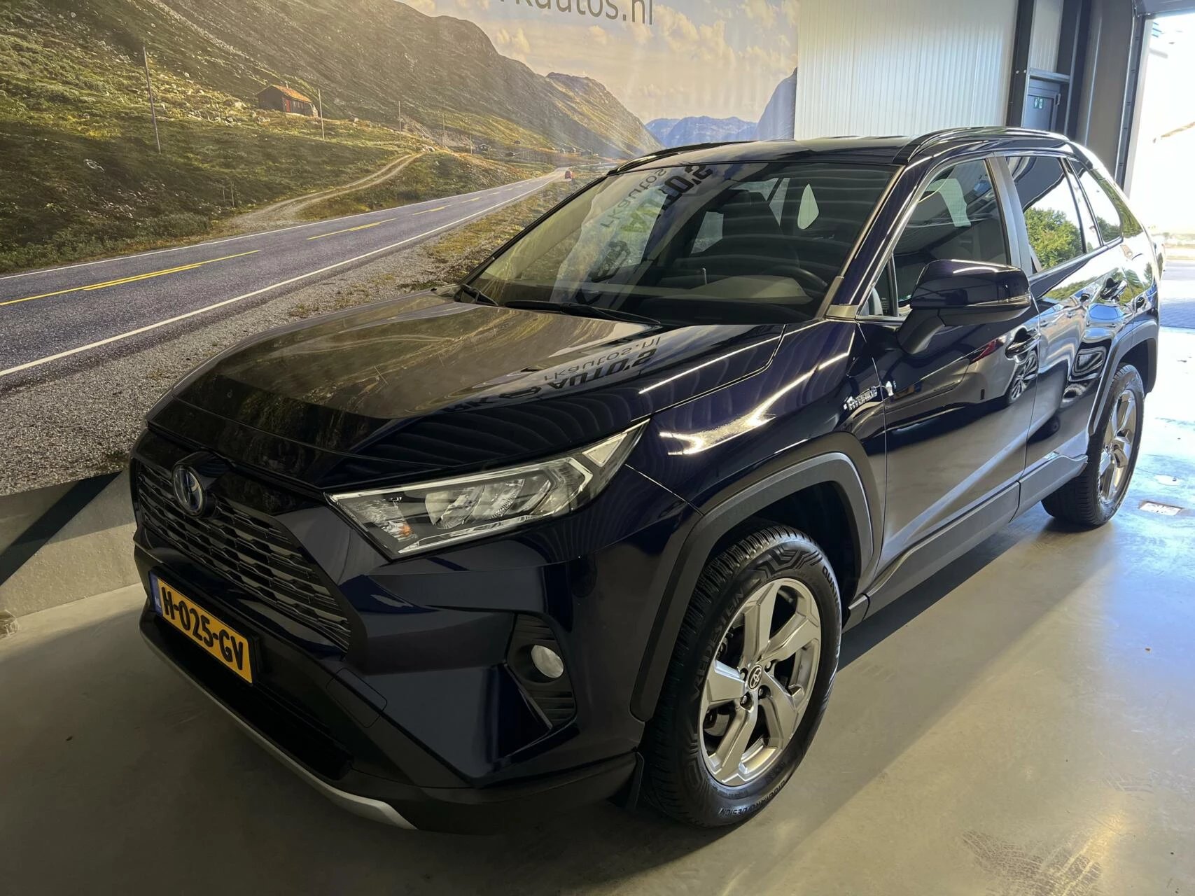 Hoofdafbeelding Toyota RAV4