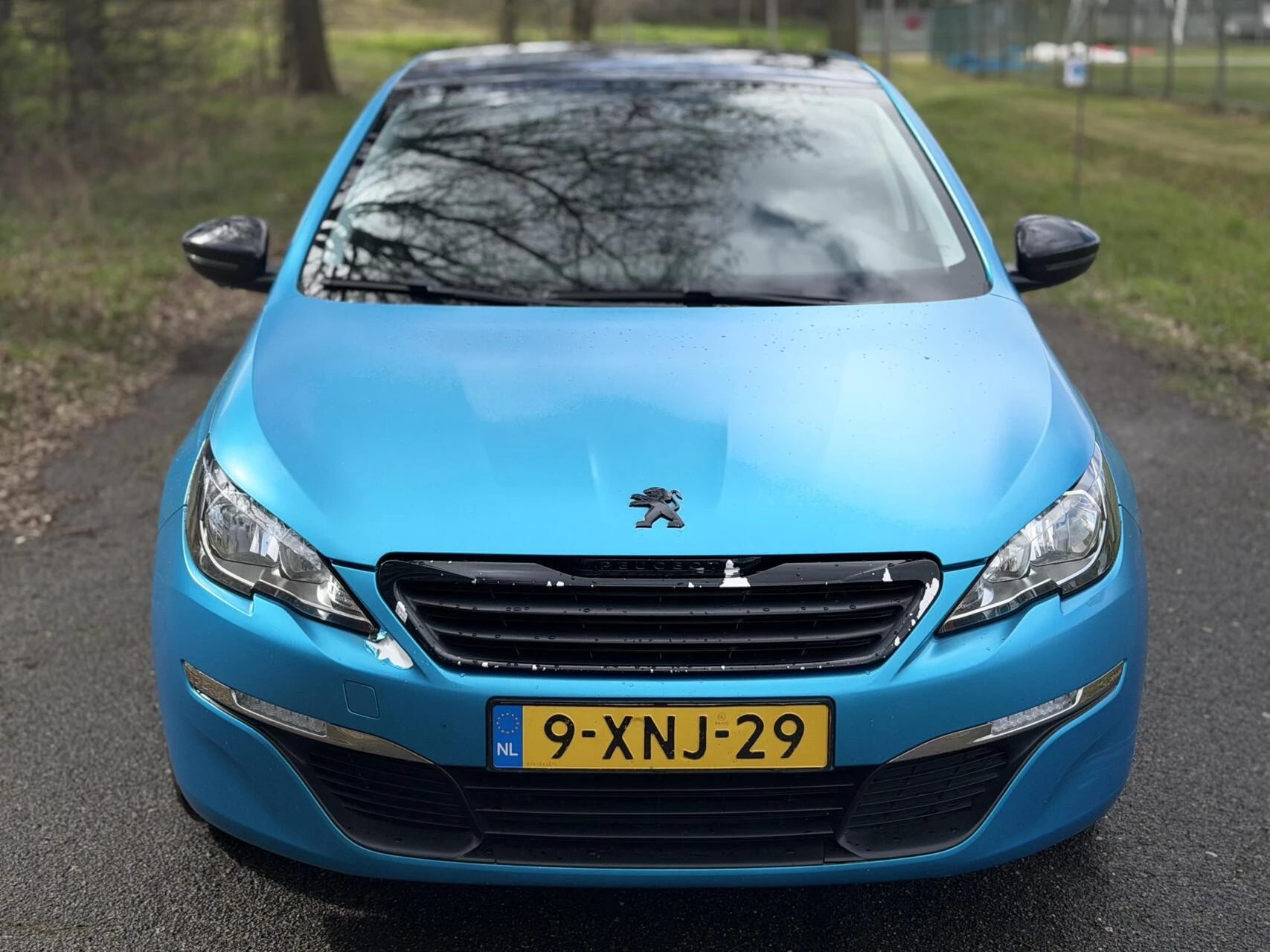 Hoofdafbeelding Peugeot 308