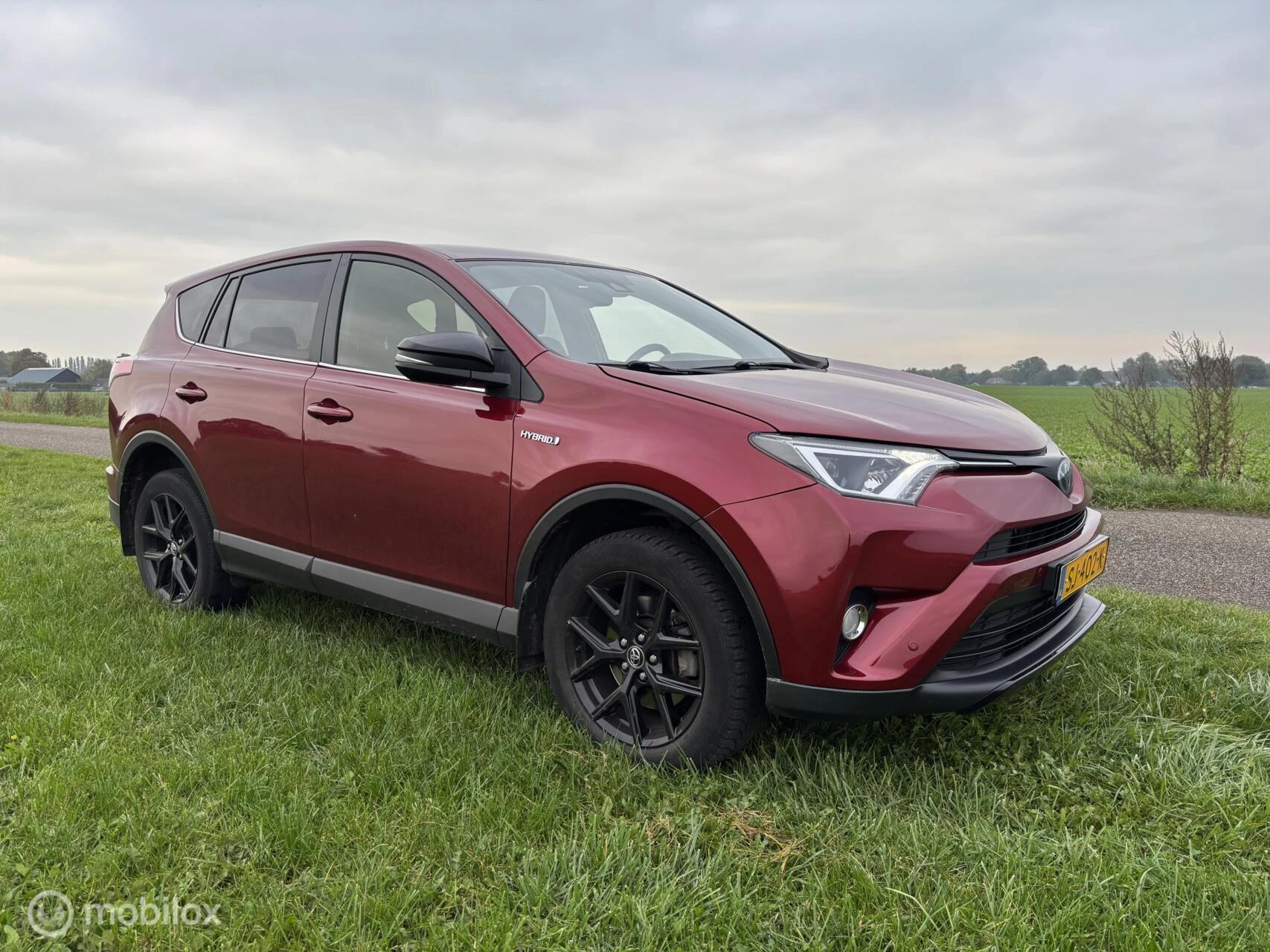 Hoofdafbeelding Toyota RAV4