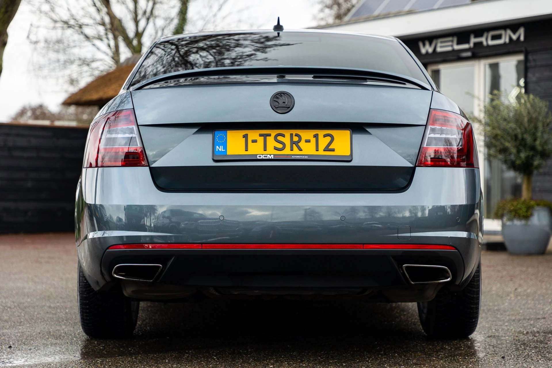 Hoofdafbeelding Škoda Octavia