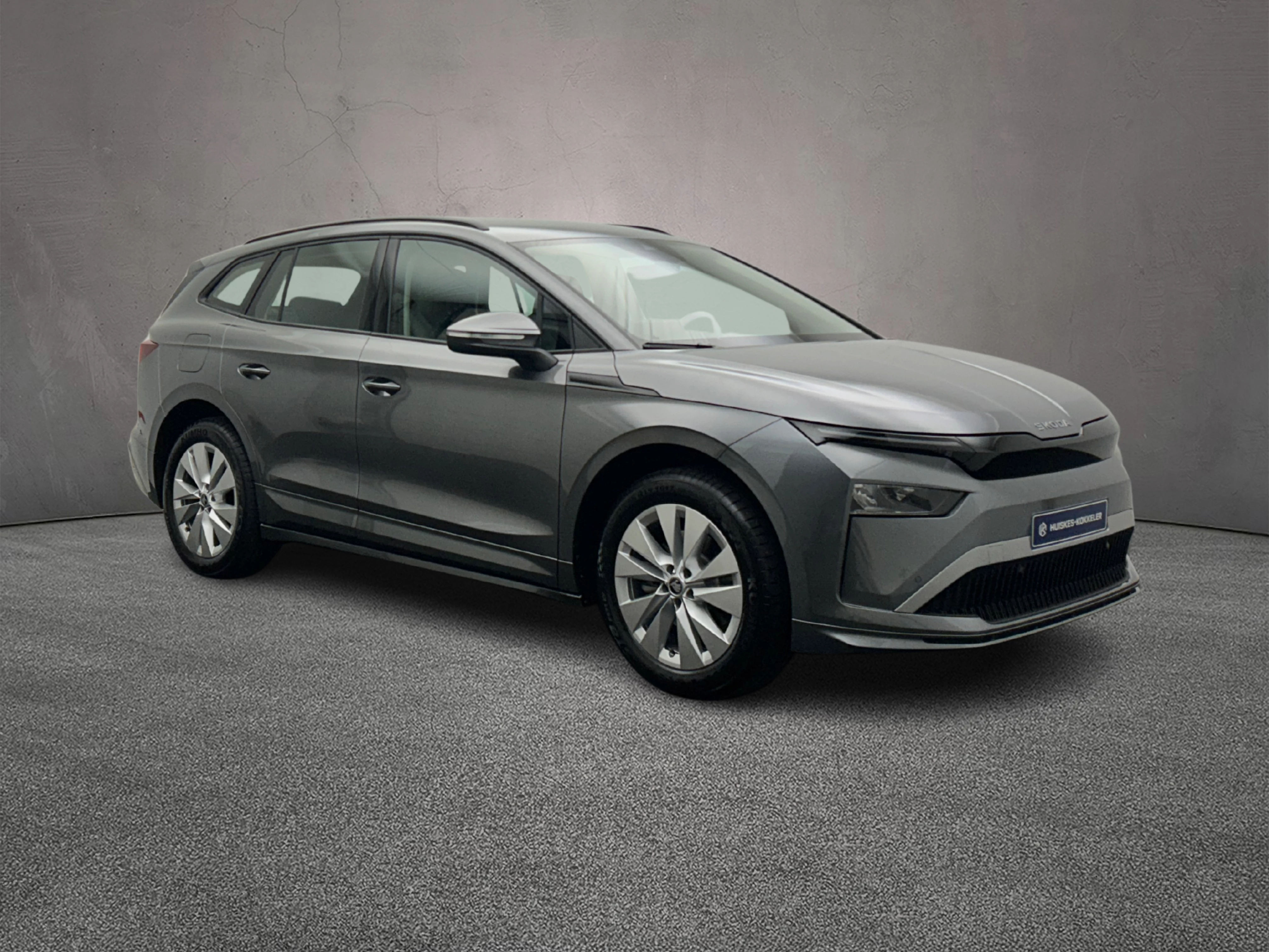 Hoofdafbeelding Škoda Enyaq iV