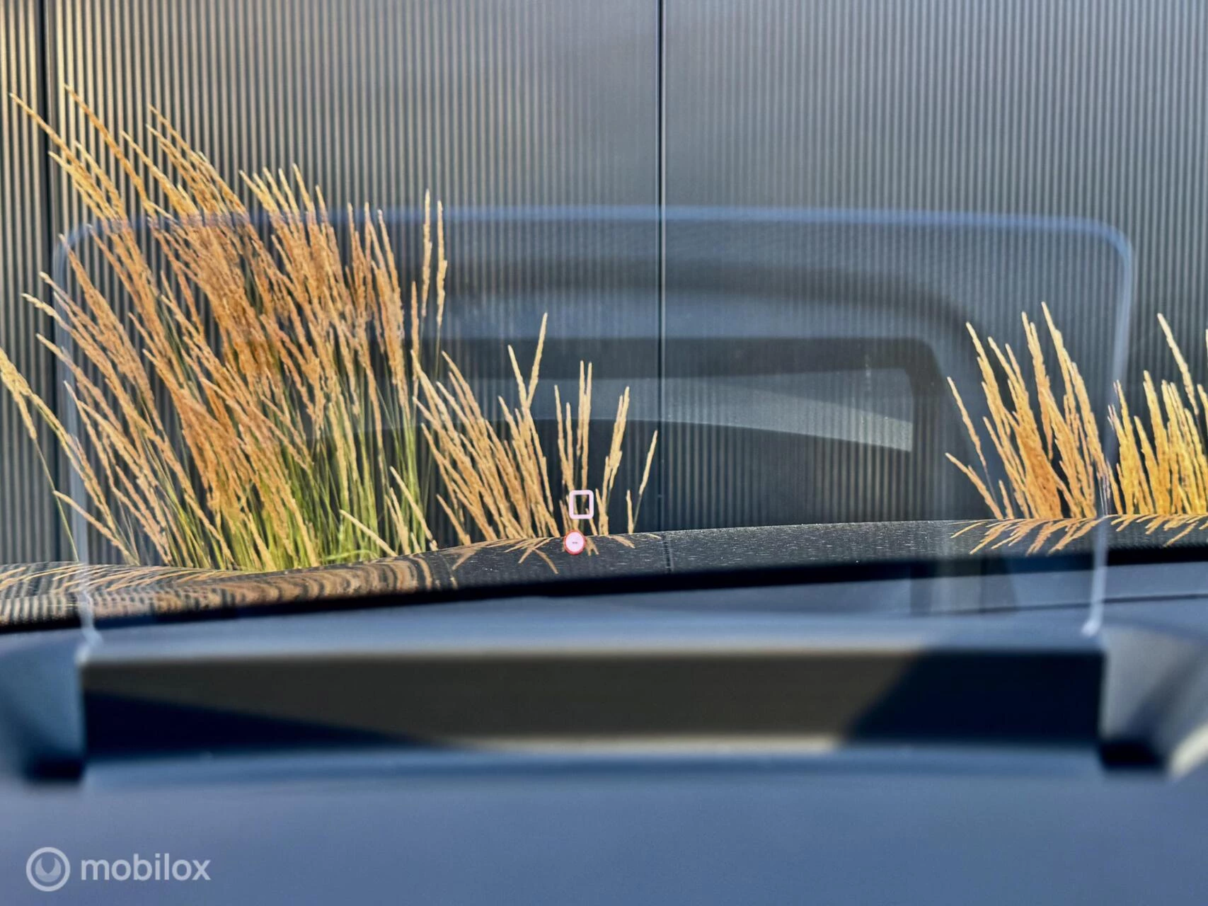 Hoofdafbeelding Citroën C4 X