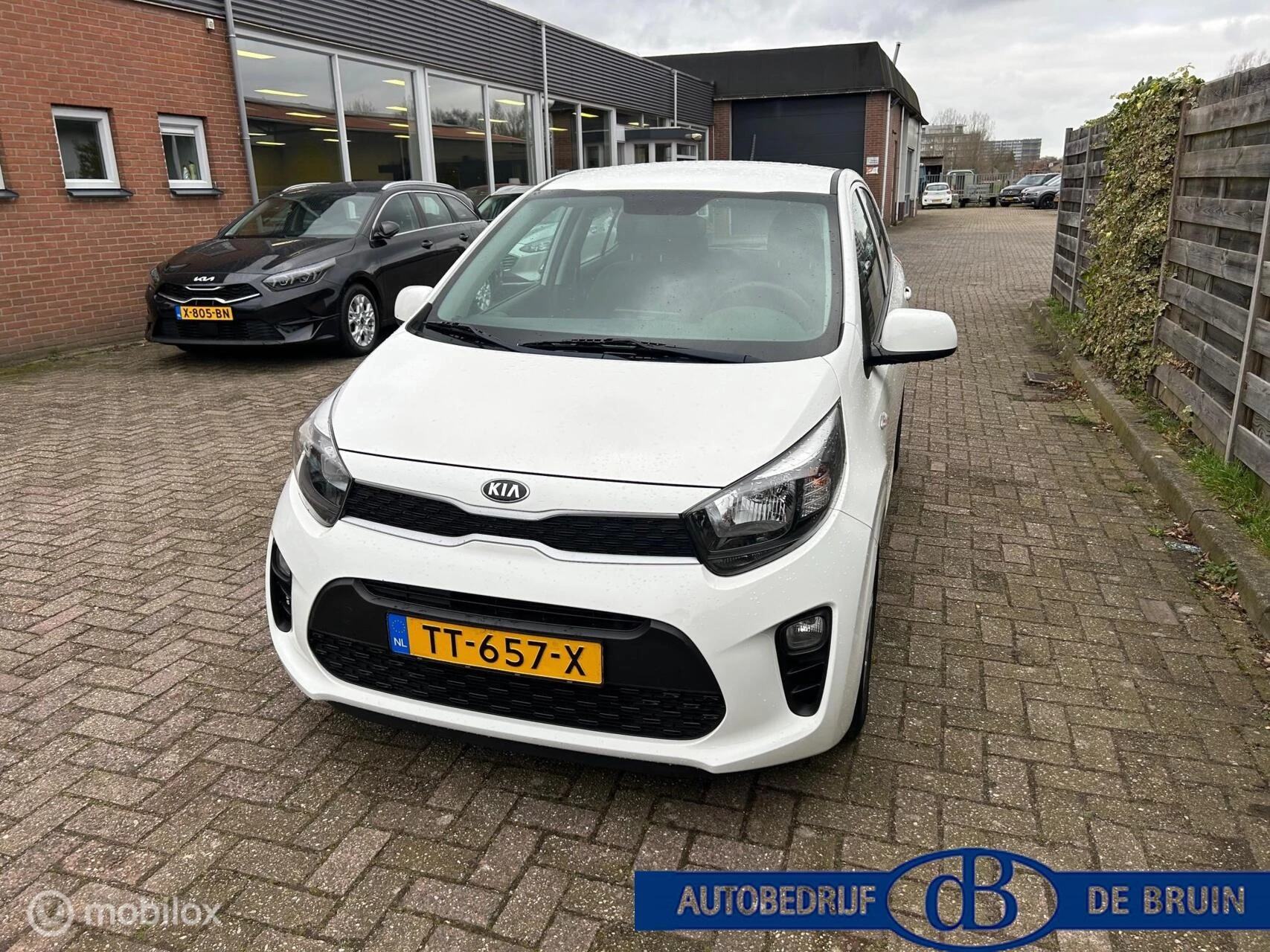 Hoofdafbeelding Kia Picanto