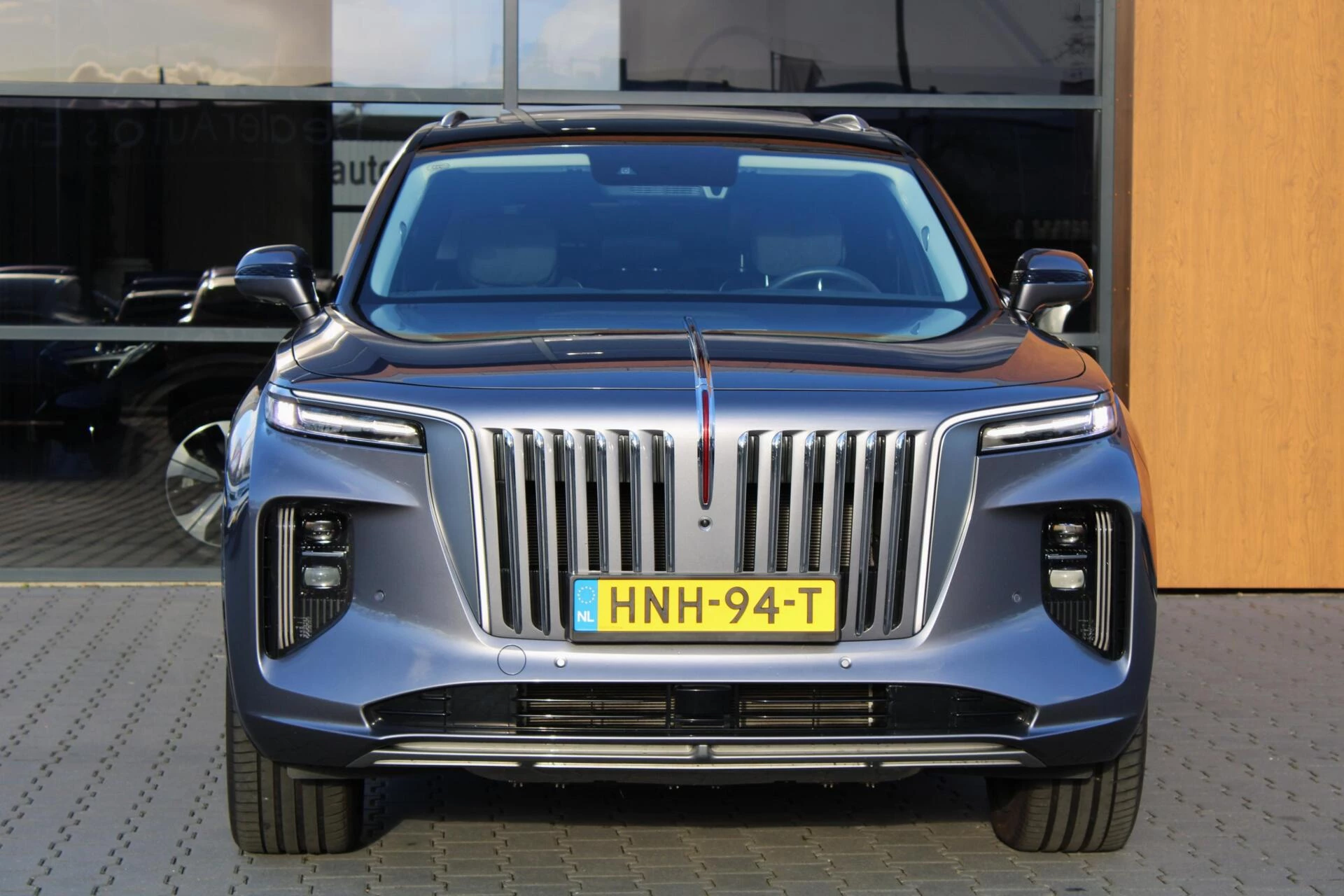 Hoofdafbeelding Hongqi E-HS9