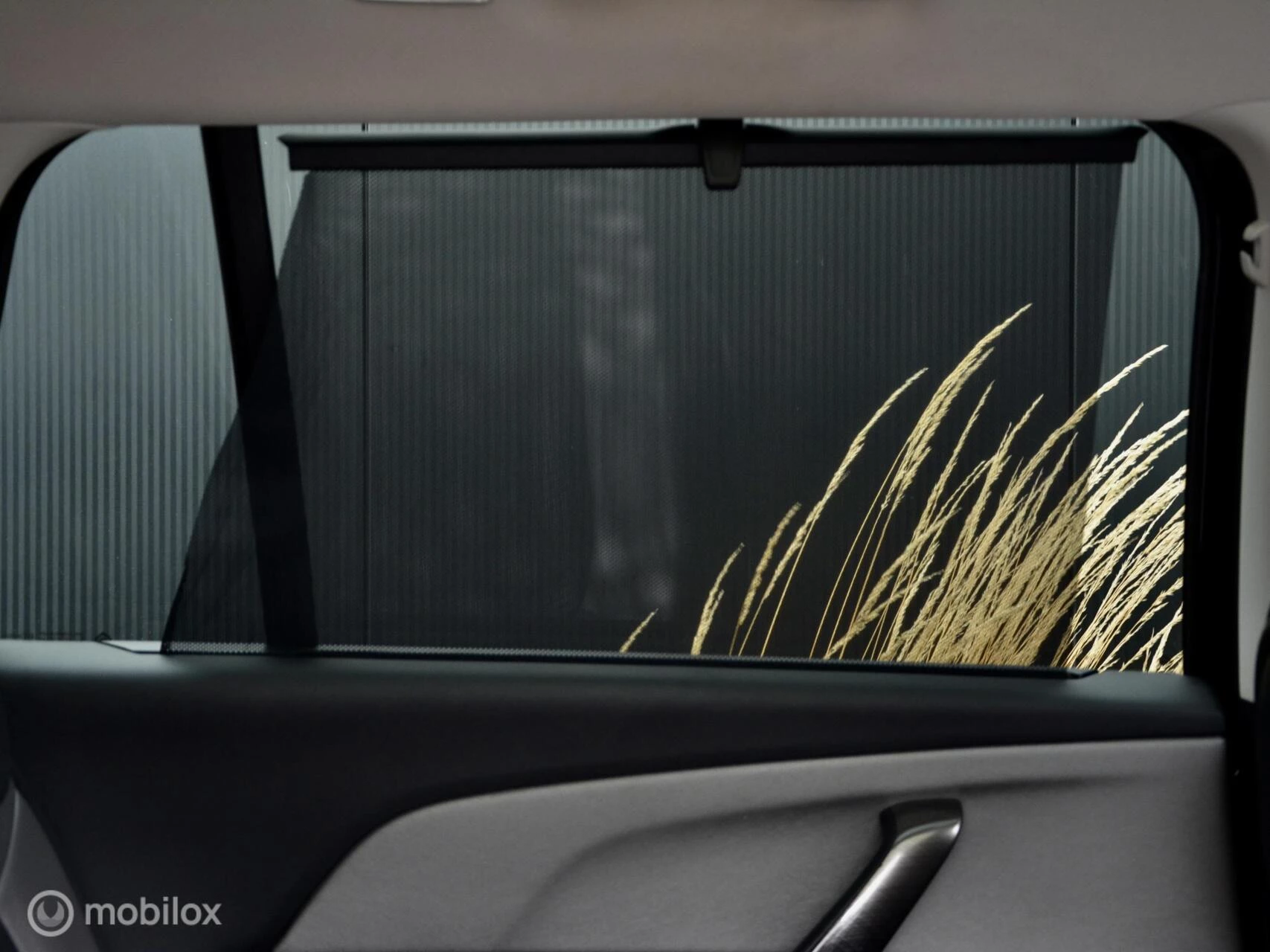 Hoofdafbeelding Citroën Grand C4 Picasso