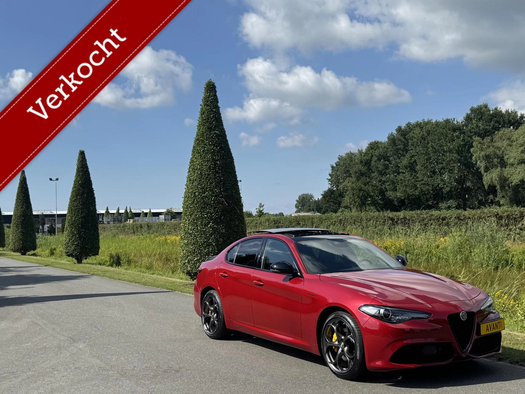 Hoofdafbeelding Alfa Romeo Giulia