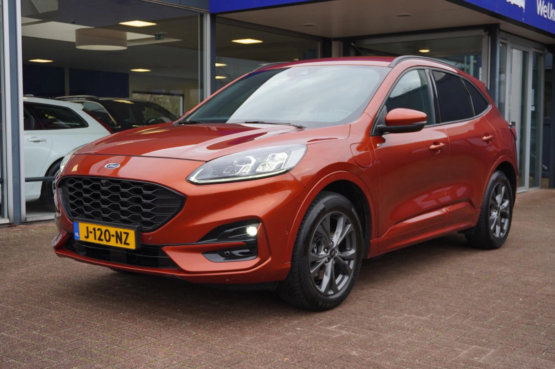 Hoofdafbeelding Ford Kuga
