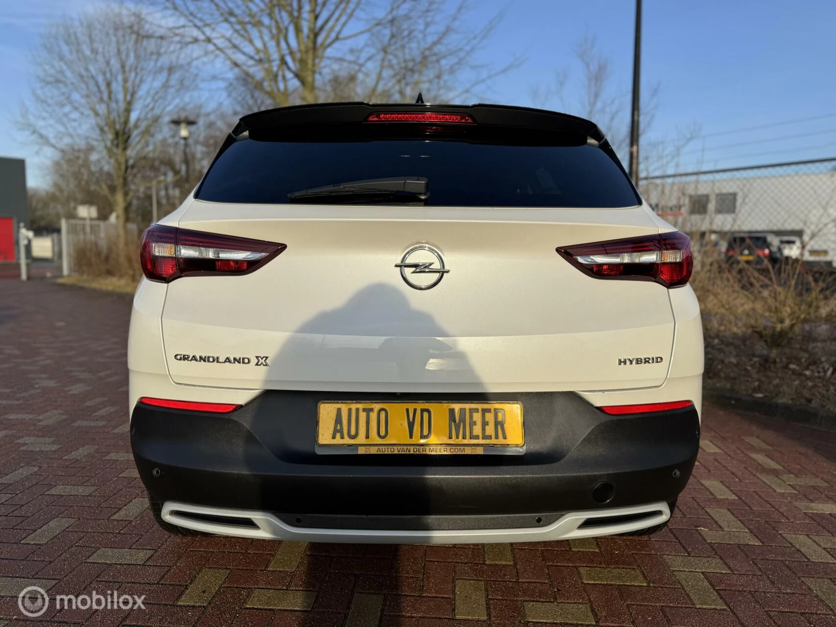 Hoofdafbeelding Opel Grandland X