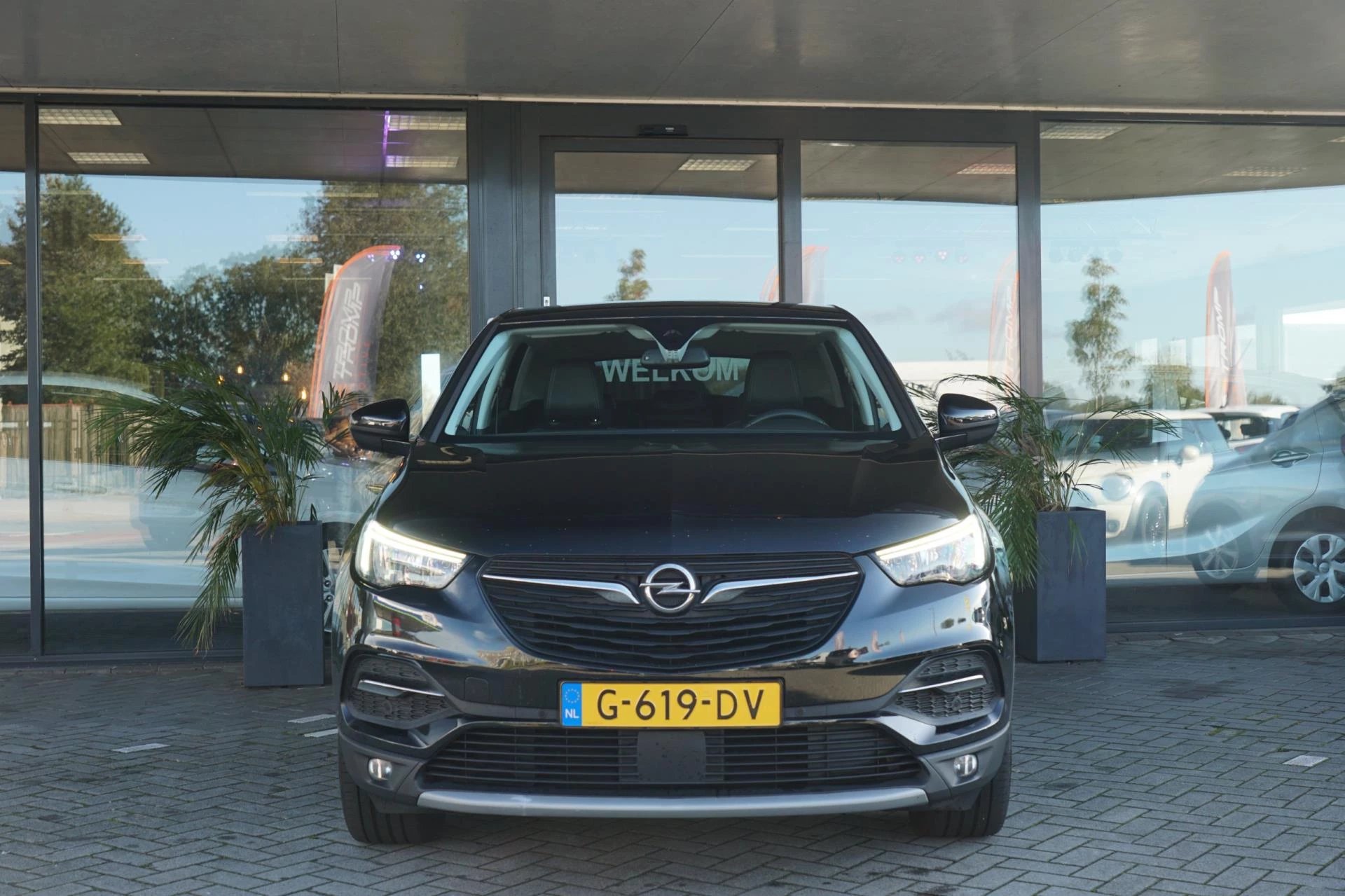 Hoofdafbeelding Opel Grandland X