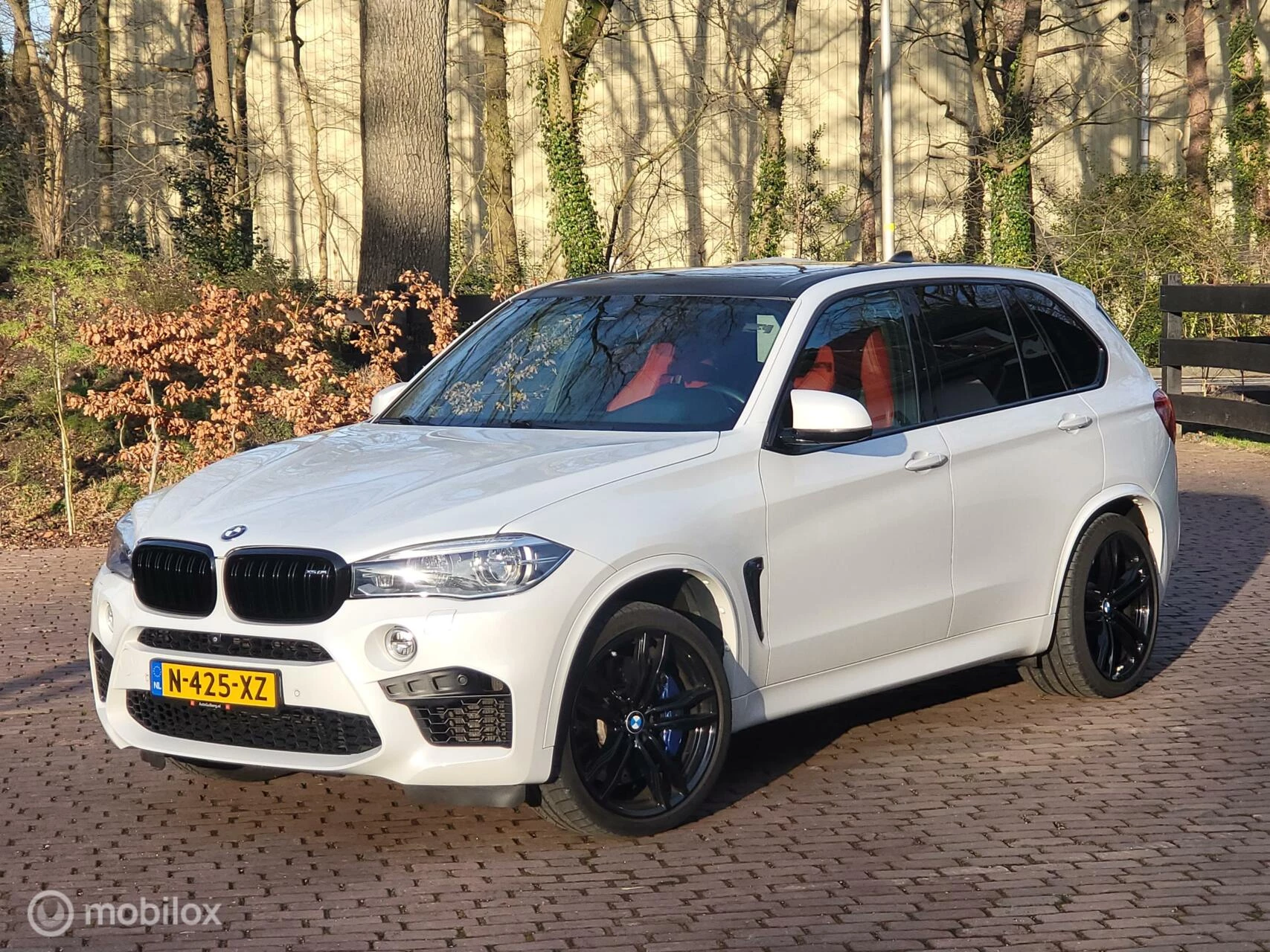 Hoofdafbeelding BMW X5