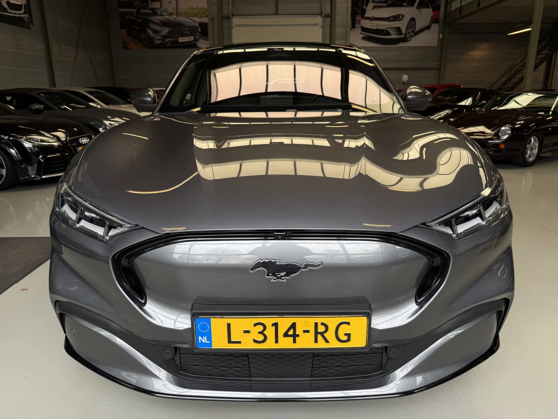 Hoofdafbeelding Ford Mustang Mach-E