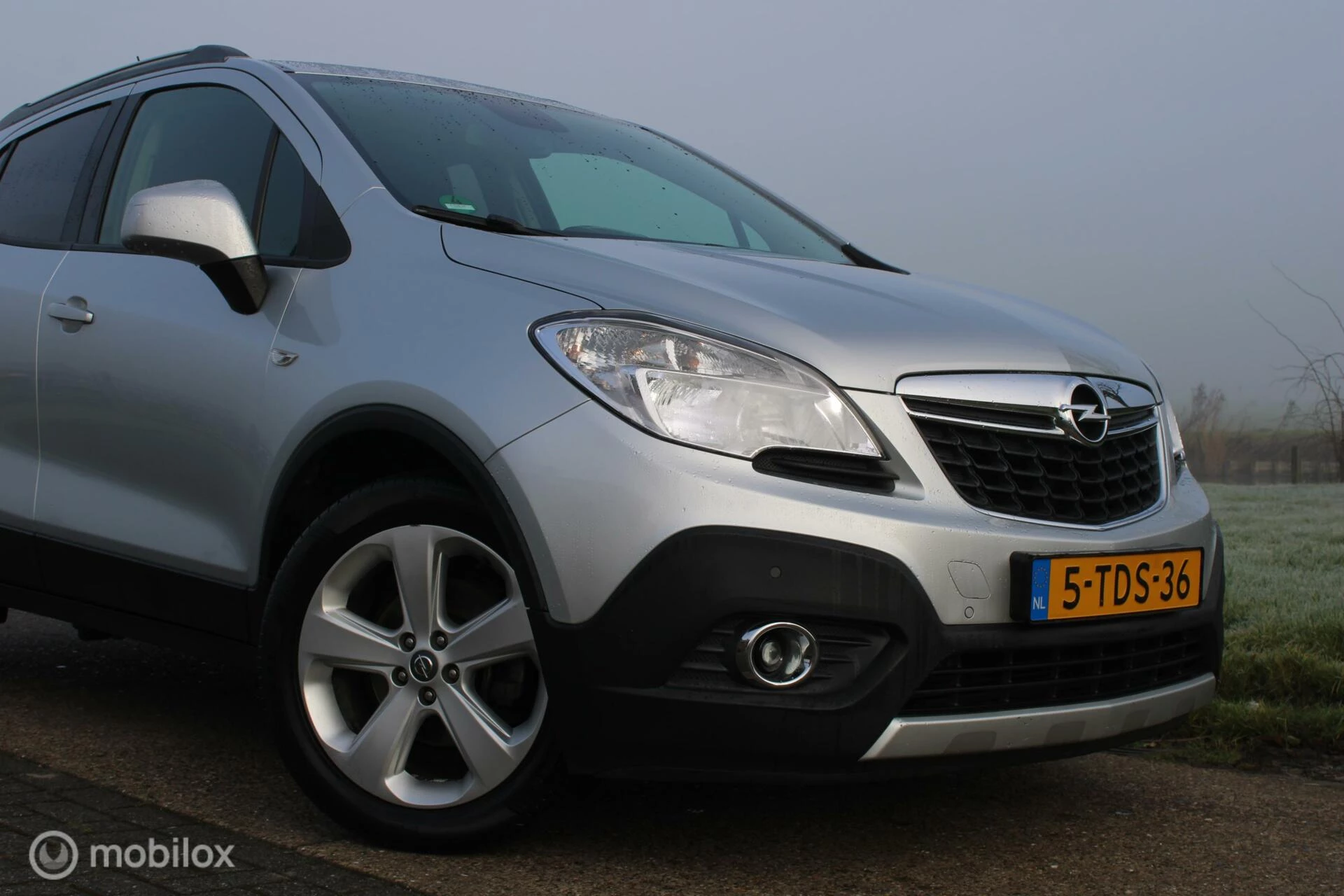 Hoofdafbeelding Opel Mokka