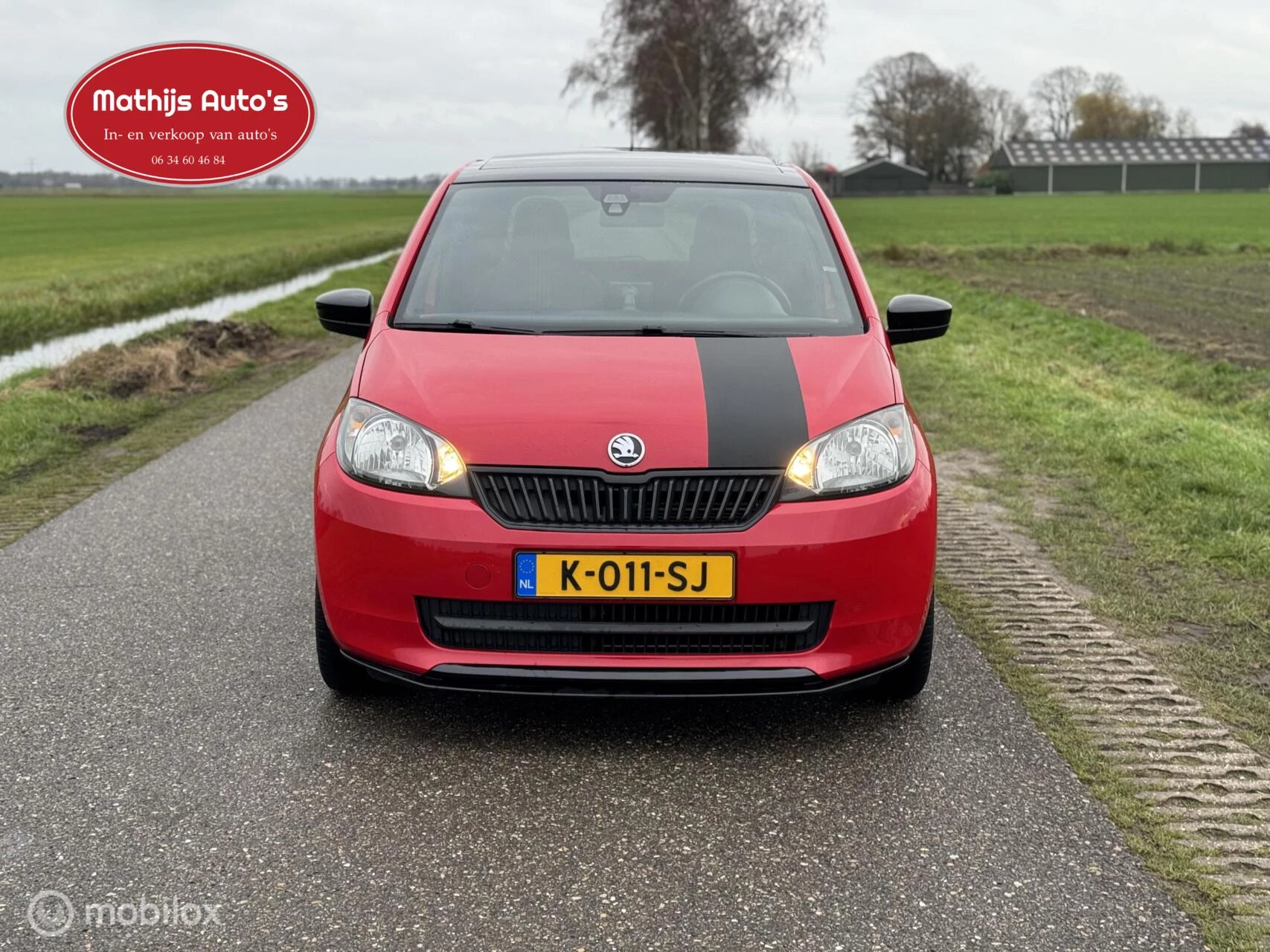 Hoofdafbeelding Škoda Citigo