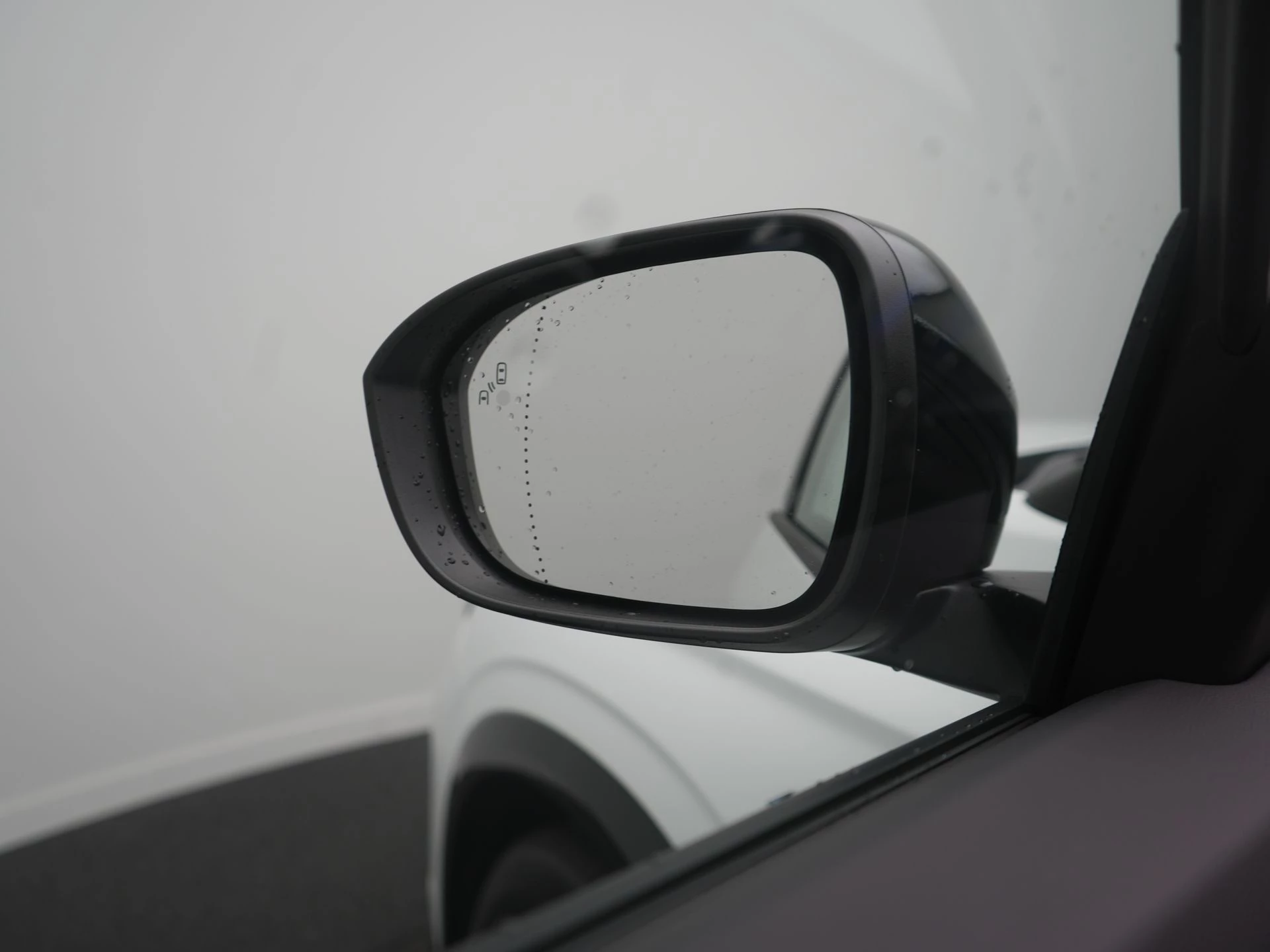 Hoofdafbeelding Renault Austral