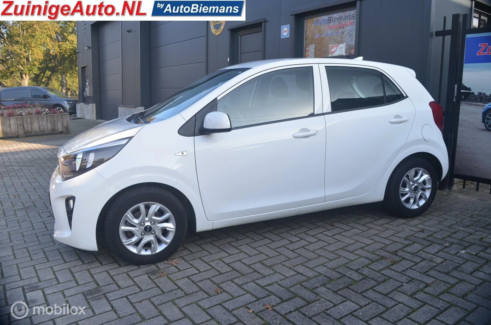 Hoofdafbeelding Kia Picanto