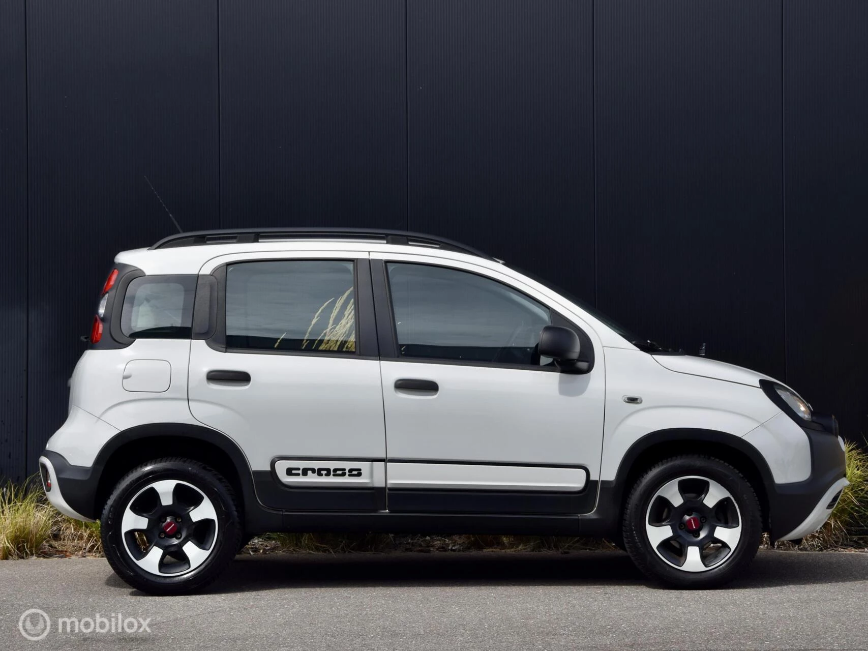 Hoofdafbeelding Fiat Panda