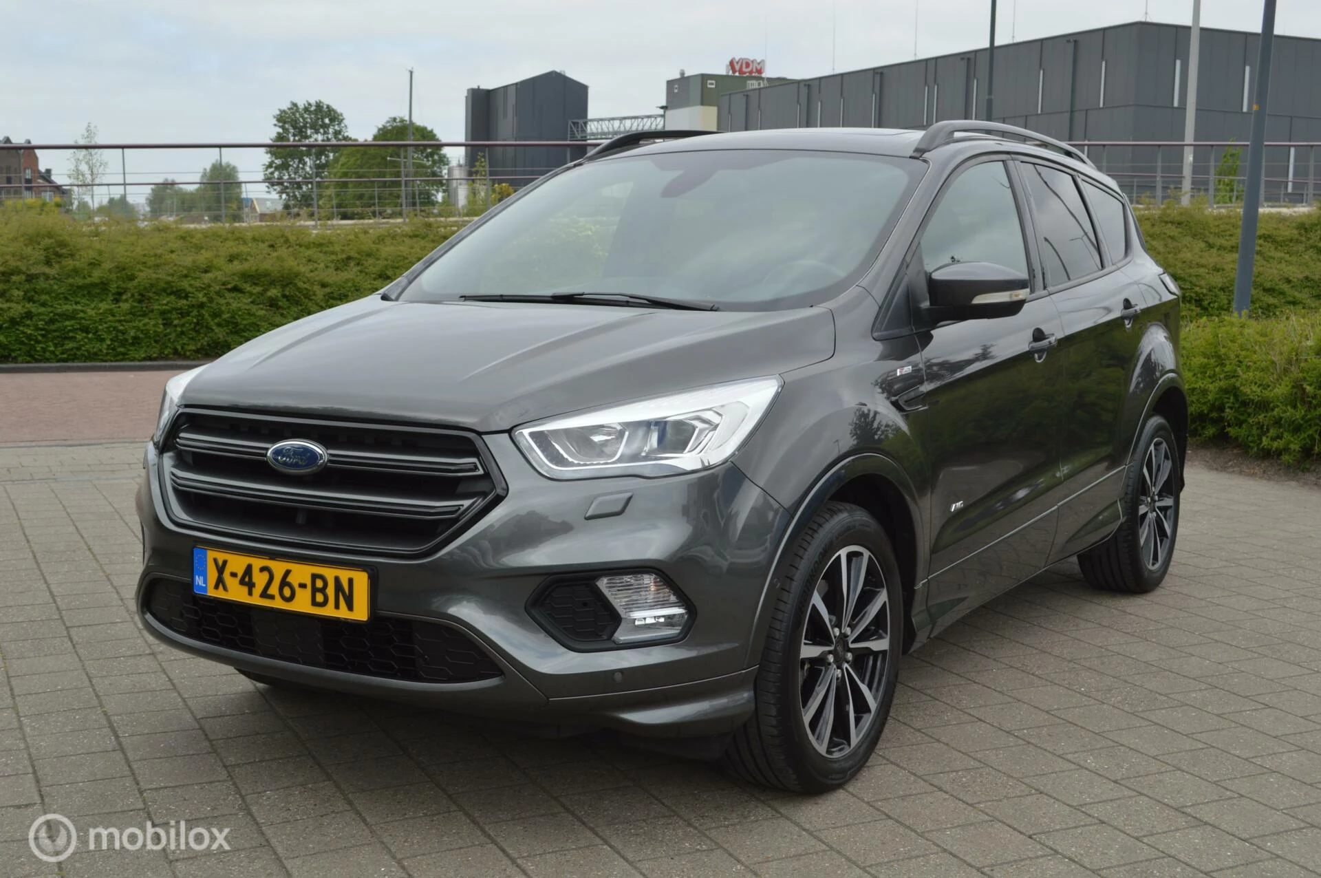 Hoofdafbeelding Ford Kuga