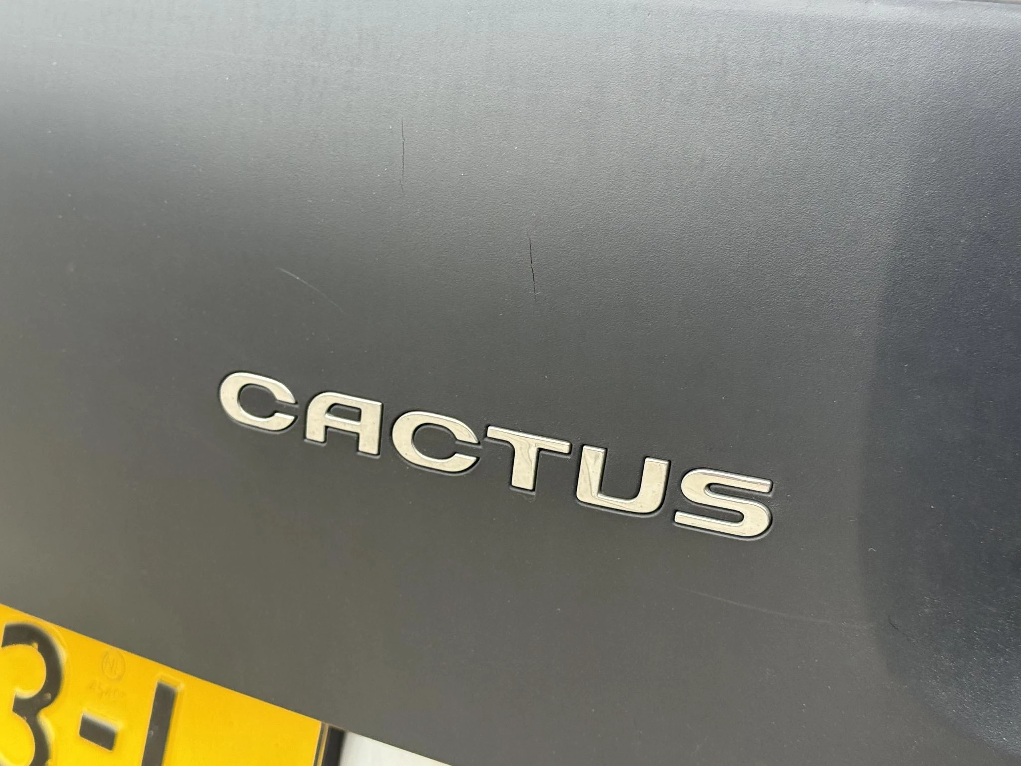 Hoofdafbeelding Citroën C4 Cactus