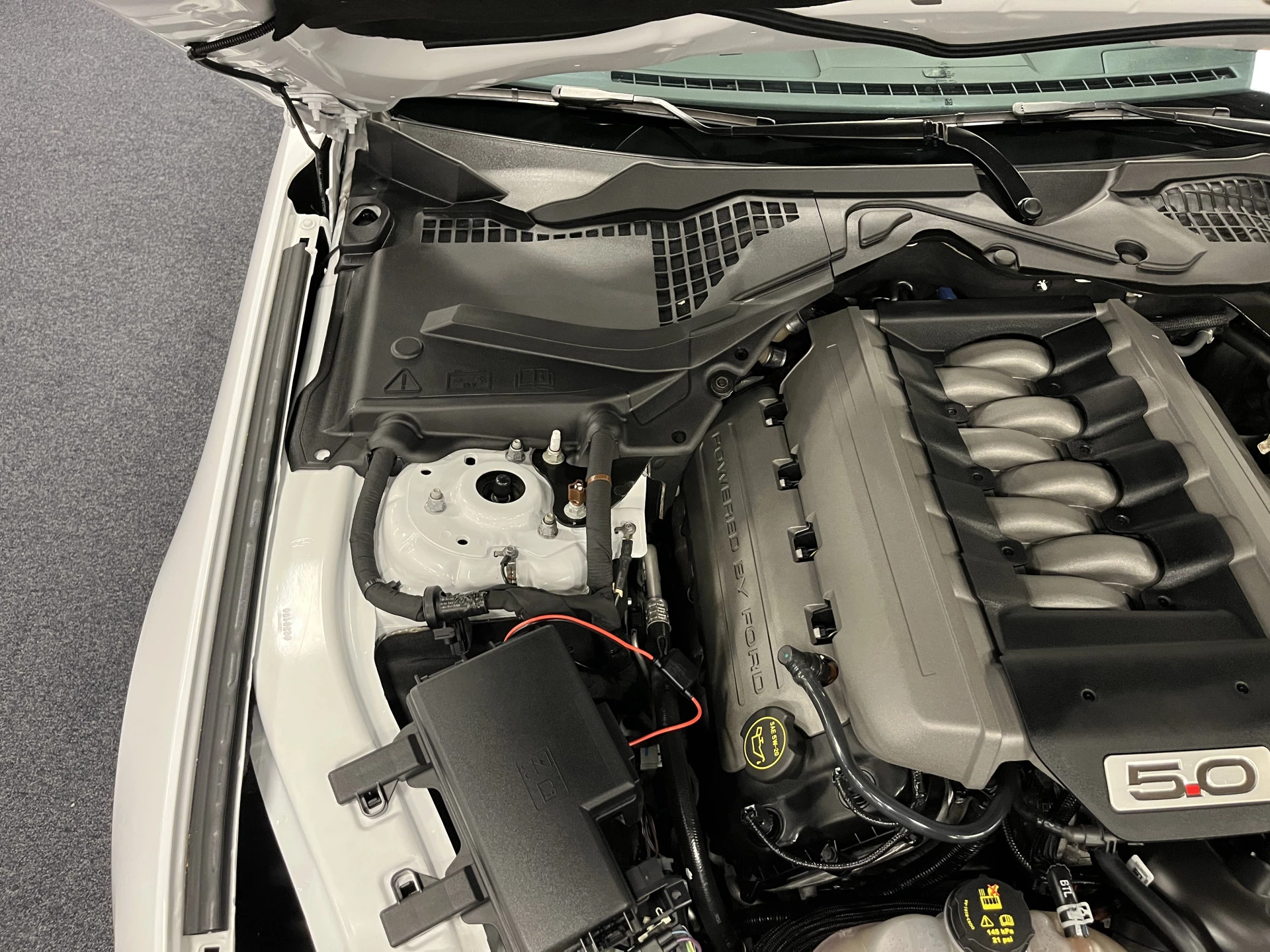 Hoofdafbeelding Ford Mustang