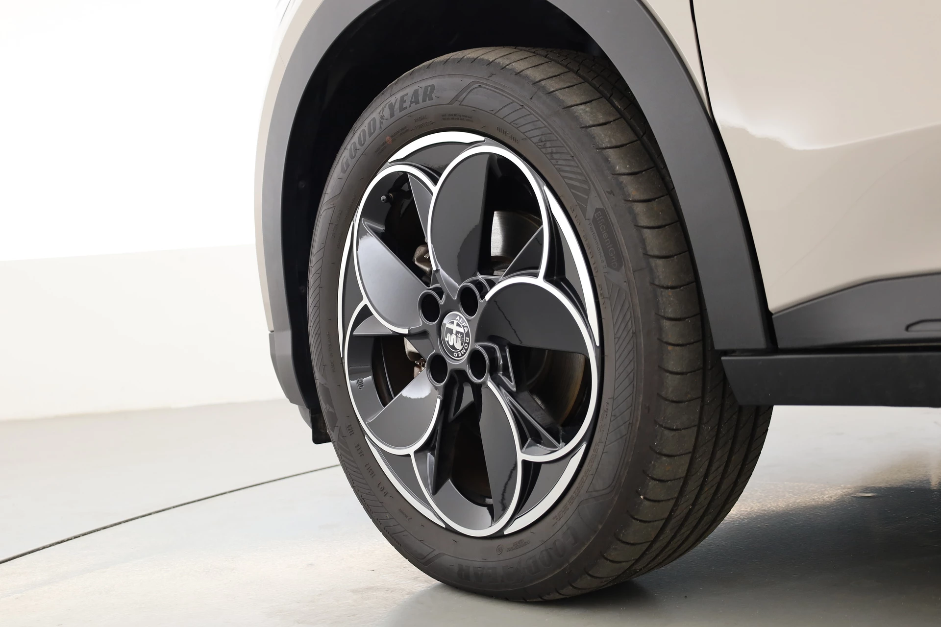 Hoofdafbeelding Alfa Romeo Junior