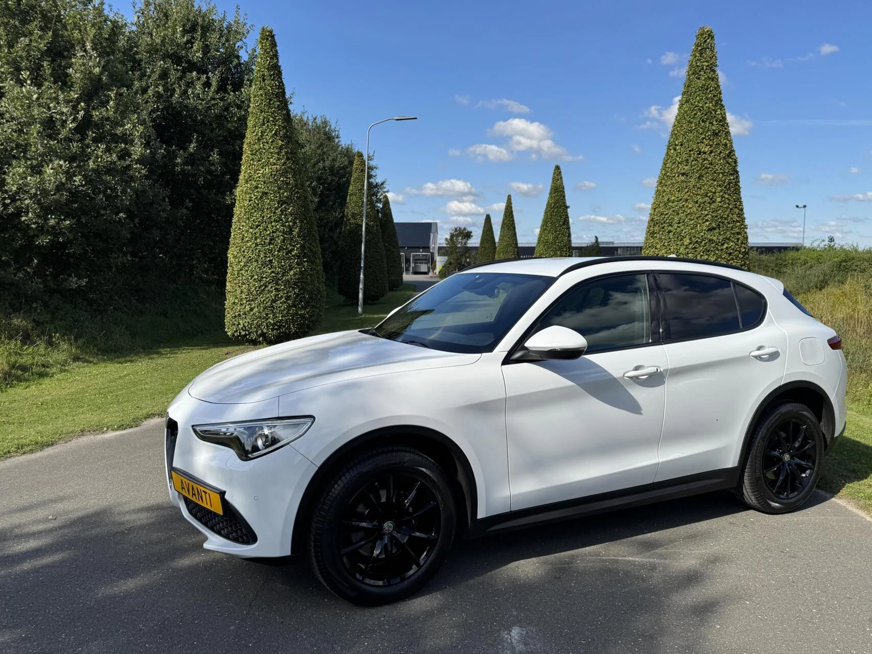 Hoofdafbeelding Alfa Romeo Stelvio