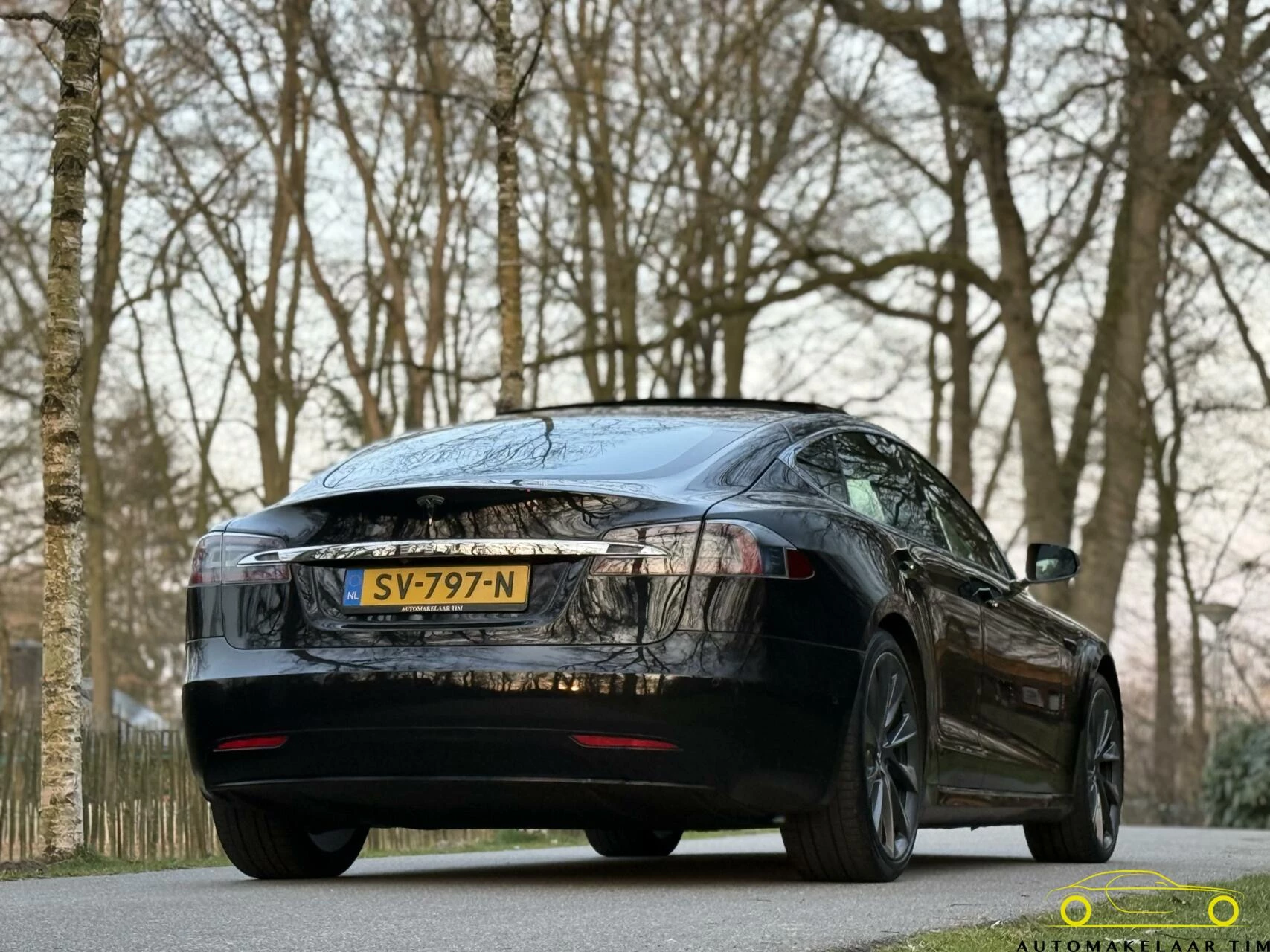 Hoofdafbeelding Tesla Model S