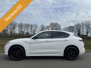 Alfa Romeo Stelvio 2.0 T Q4 280pk Estrema, Alle opties!!