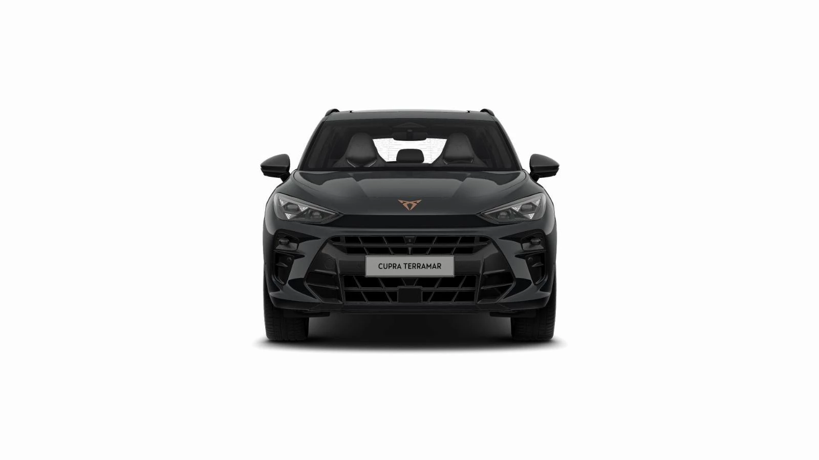 Hoofdafbeelding CUPRA Terramar