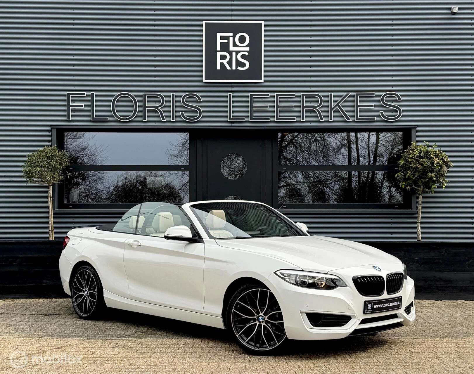 Hoofdafbeelding BMW 2 Serie