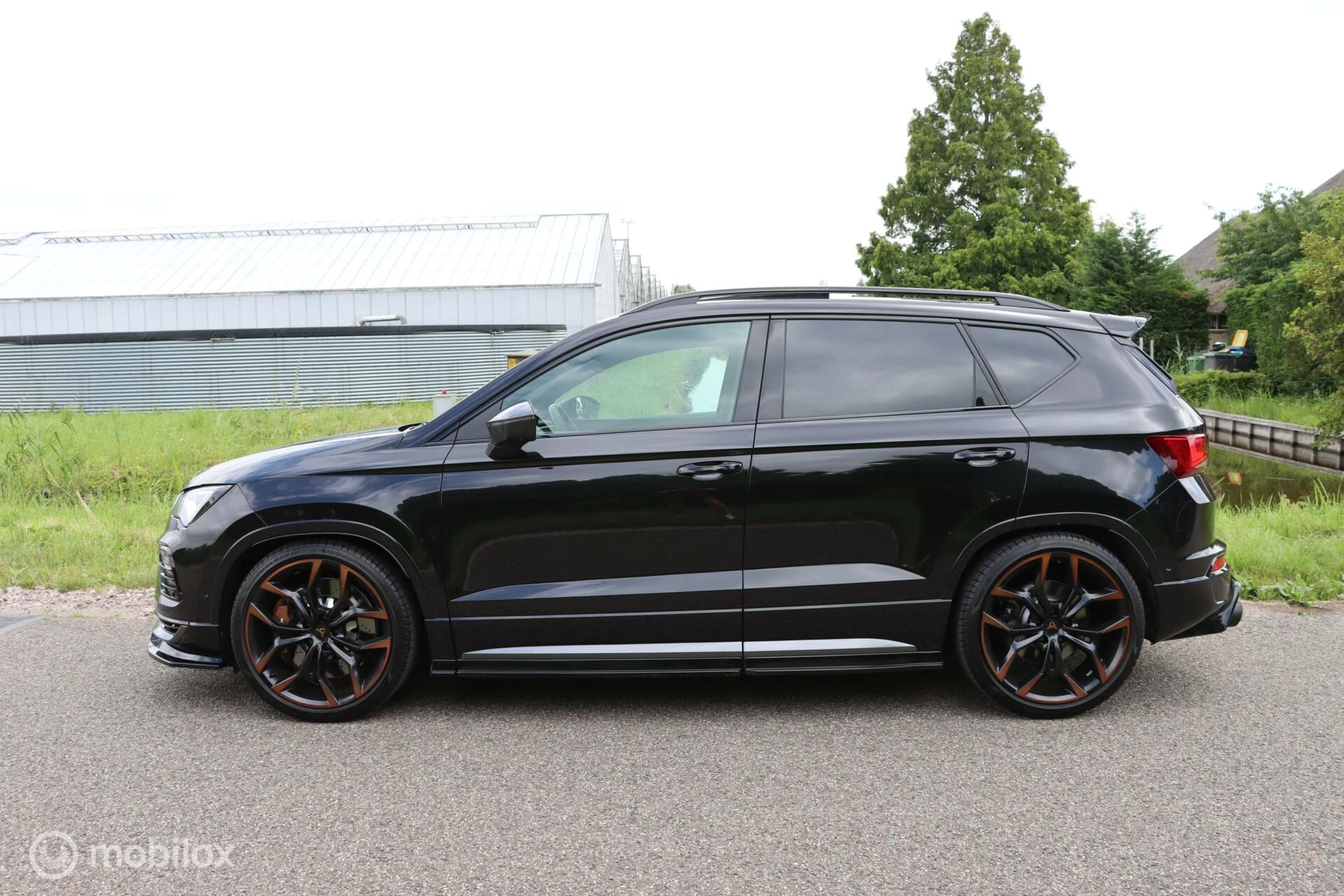 Hoofdafbeelding CUPRA Ateca