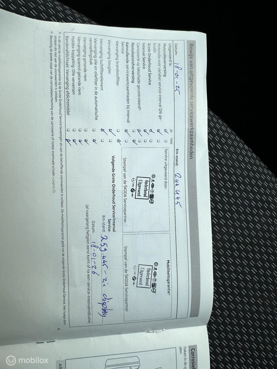 Hoofdafbeelding Škoda Octavia