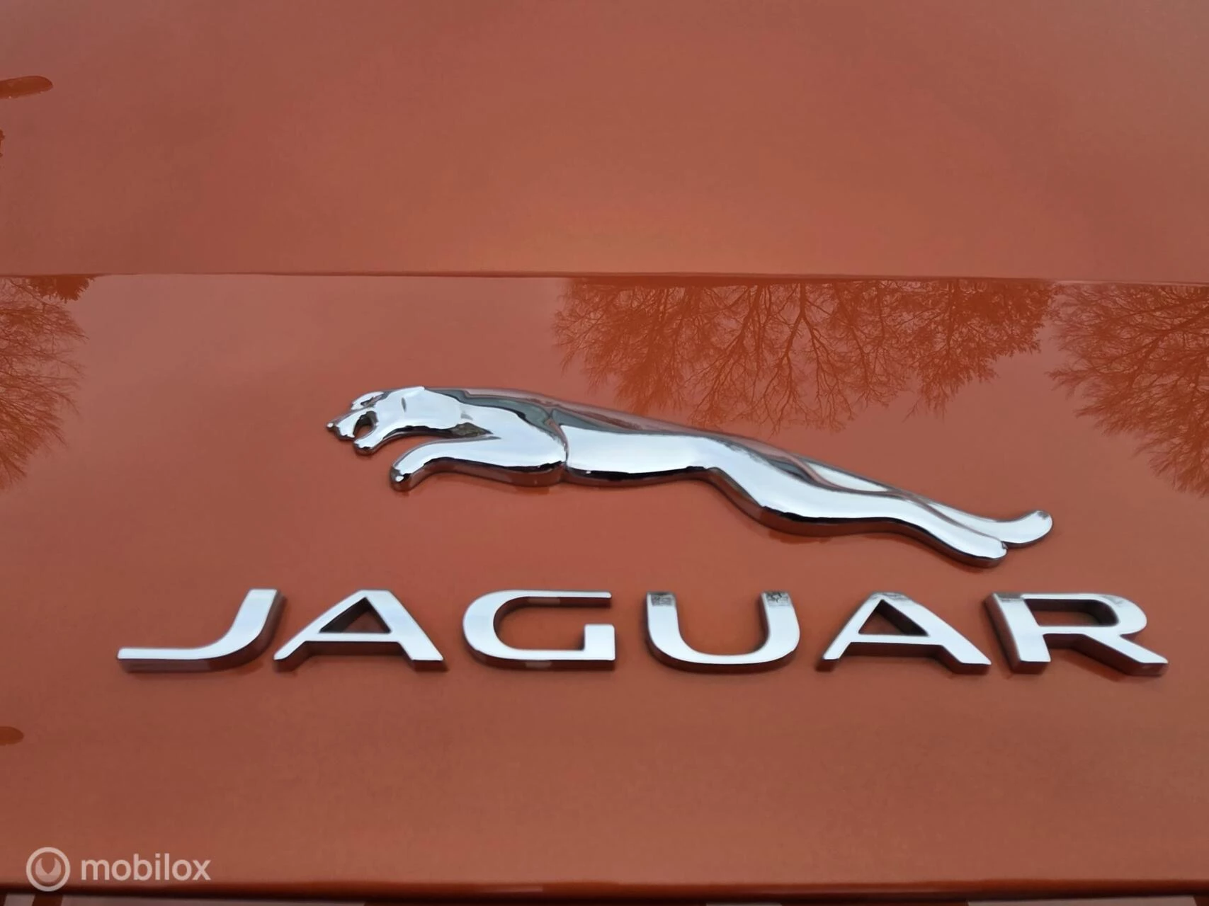 Hoofdafbeelding Jaguar F-Type