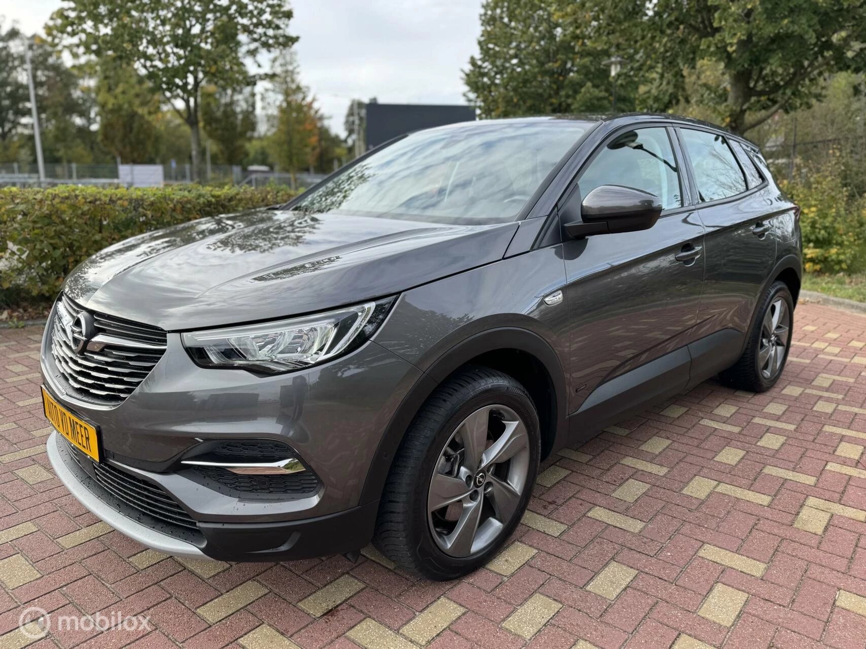 Hoofdafbeelding Opel Grandland X