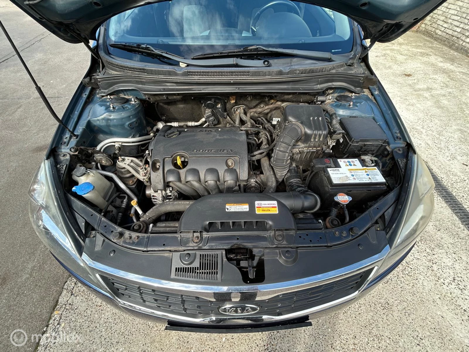 Hoofdafbeelding Kia cee'd