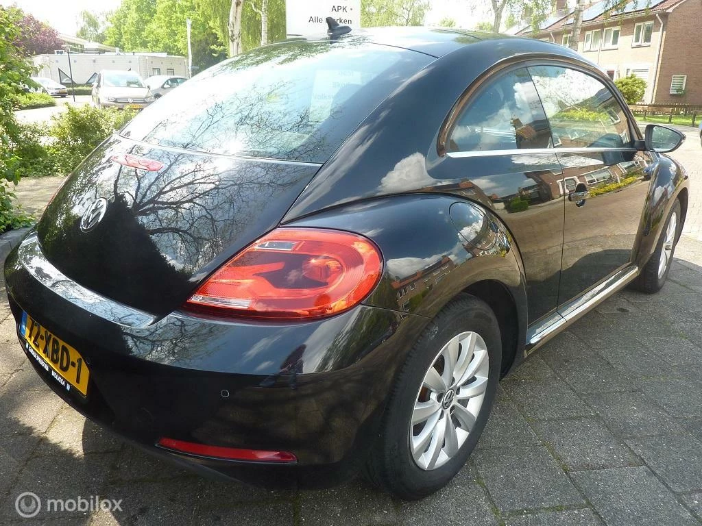 Hoofdafbeelding Volkswagen Beetle