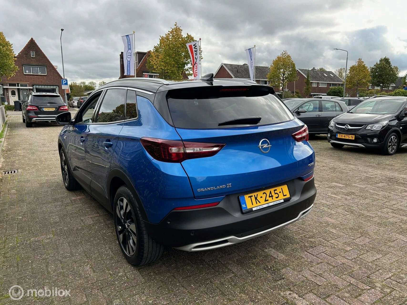 Hoofdafbeelding Opel Grandland X