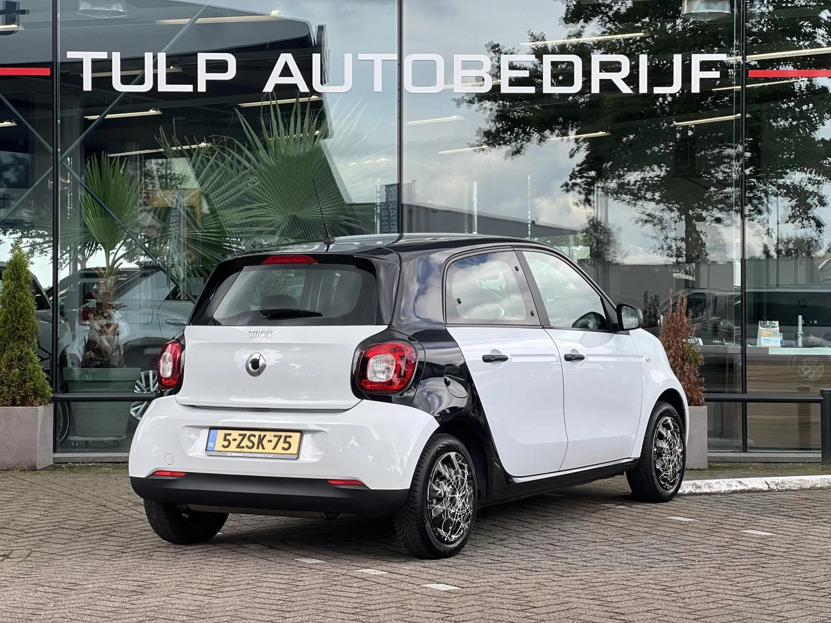 Hoofdafbeelding smart Forfour