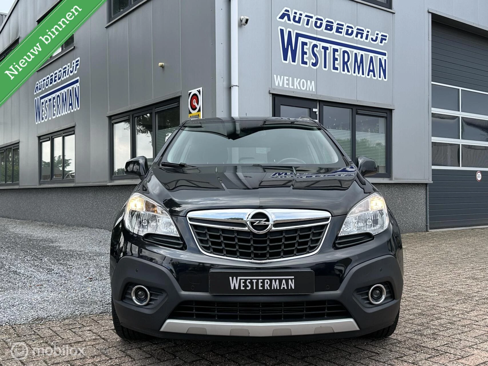 Hoofdafbeelding Opel Mokka