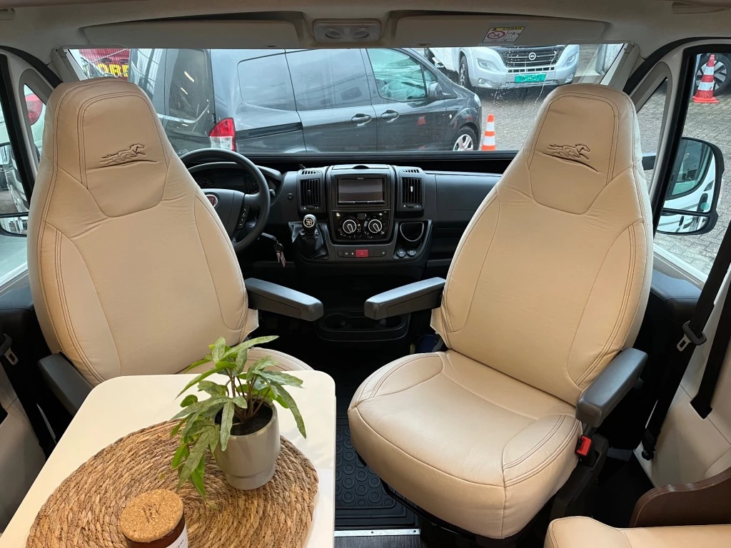 Hoofdafbeelding McLouis YEARLING