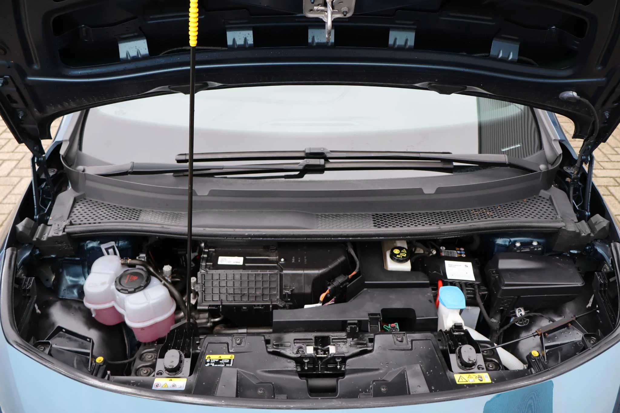 Hoofdafbeelding CUPRA Born