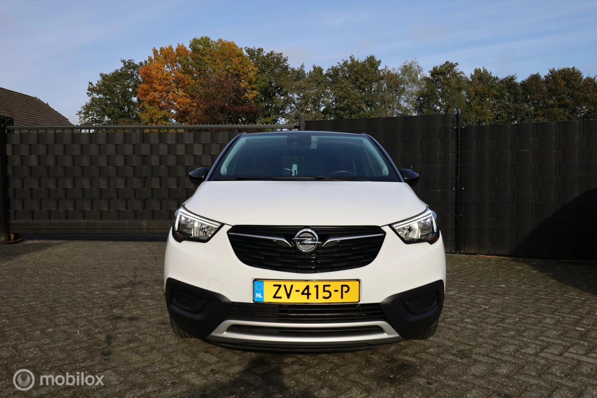 Hoofdafbeelding Opel Crossland X