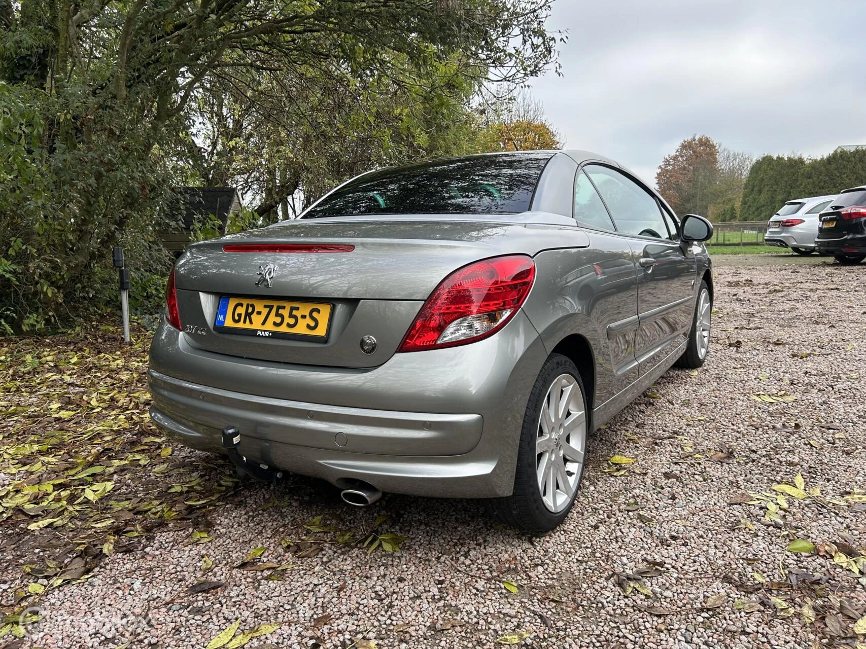 Hoofdafbeelding Peugeot 207