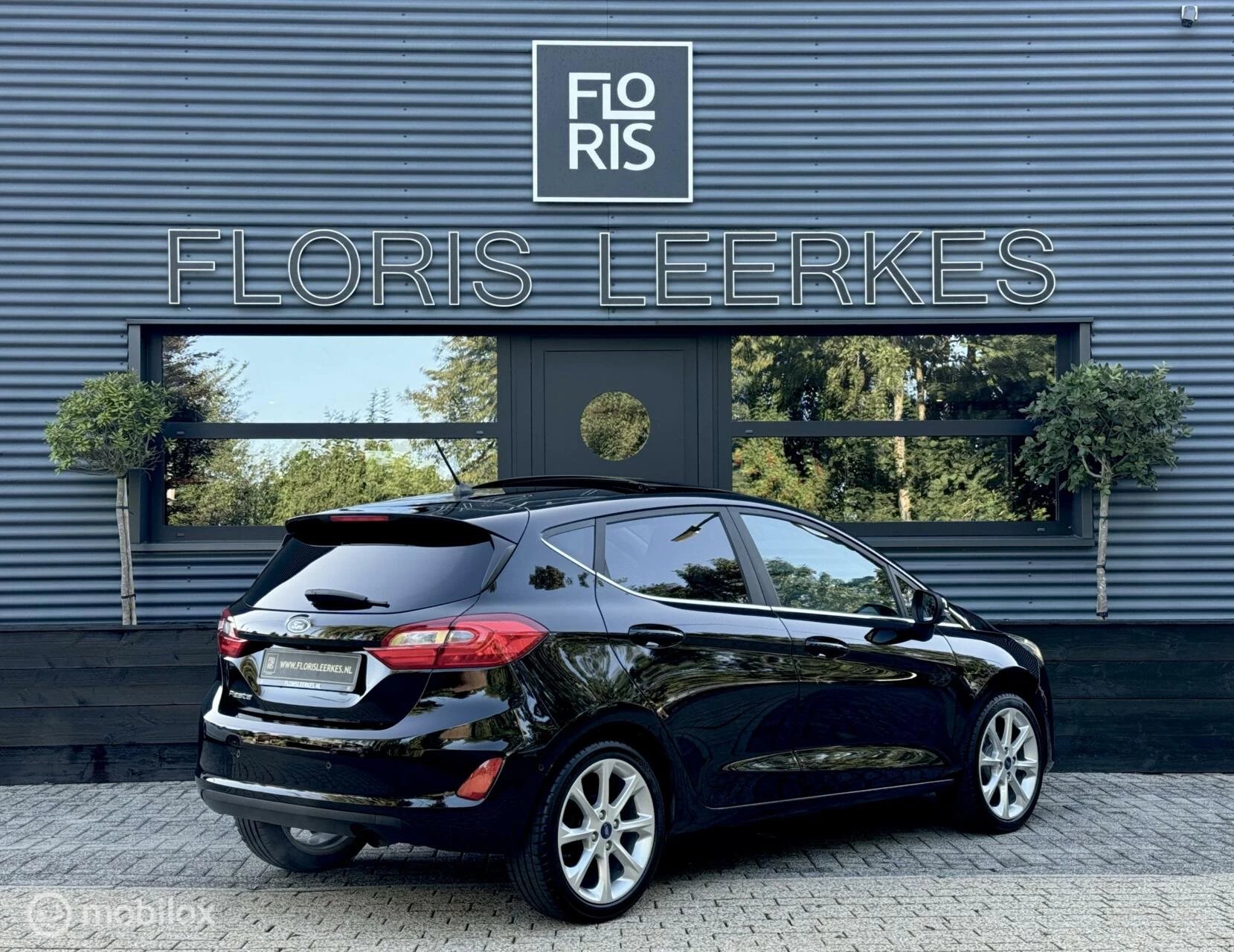 Hoofdafbeelding Ford Fiesta