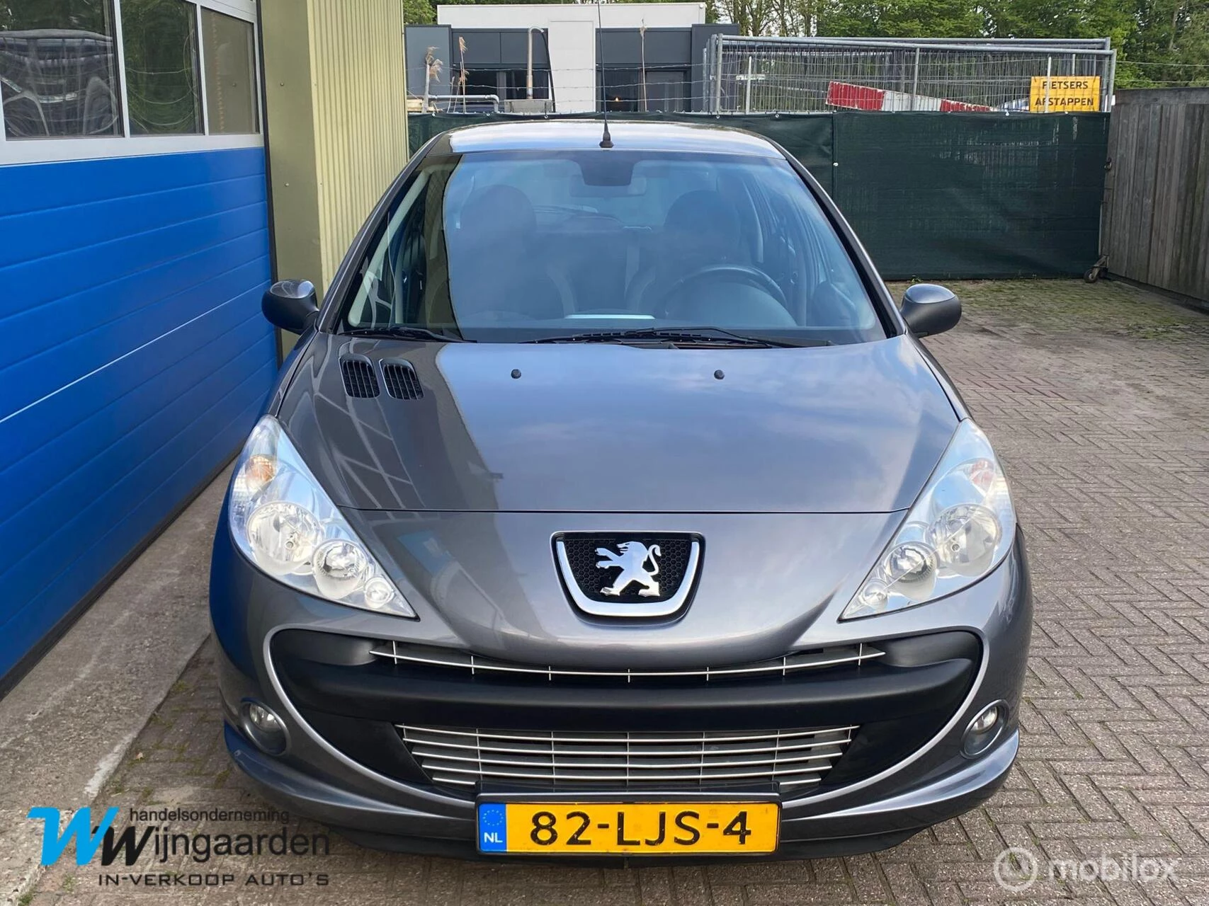 Hoofdafbeelding Peugeot 206