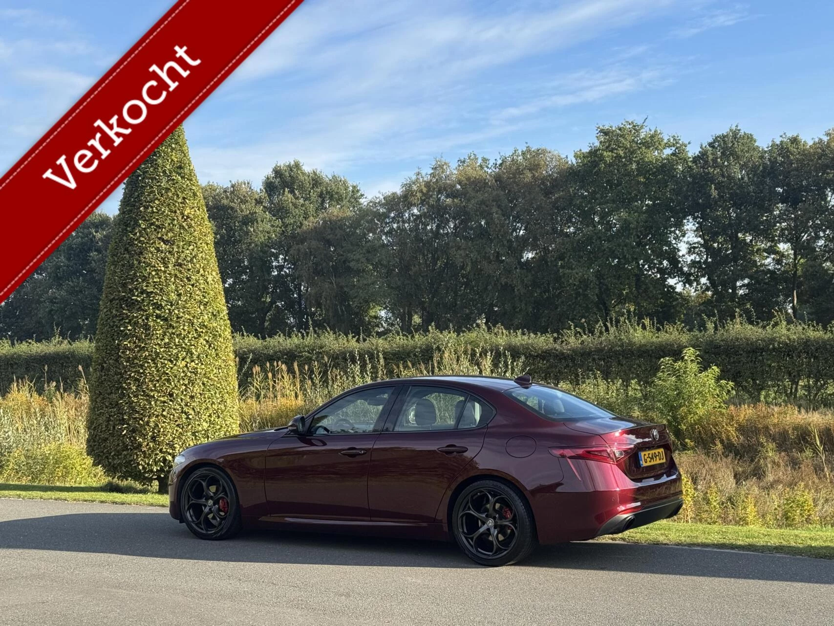 Hoofdafbeelding Alfa Romeo Giulia