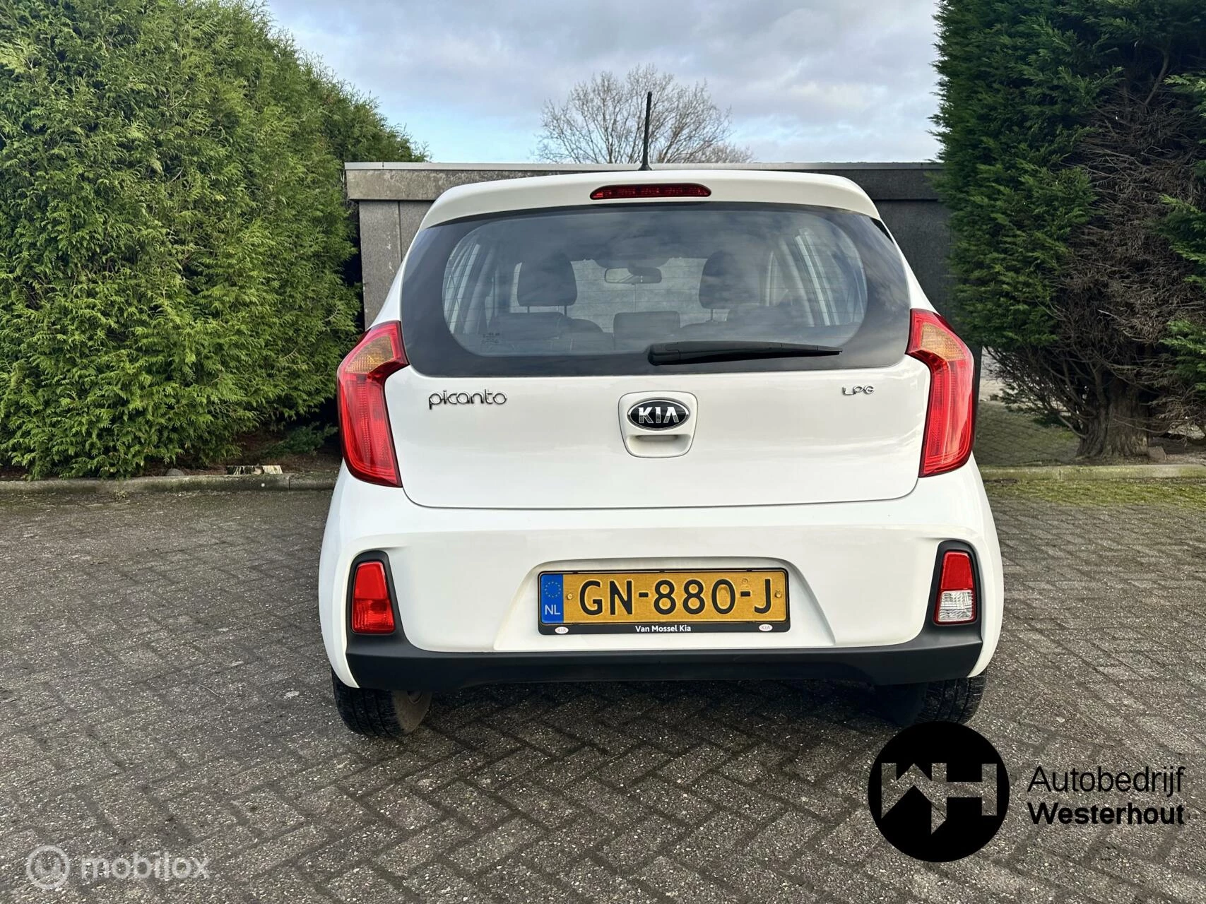 Hoofdafbeelding Kia Picanto