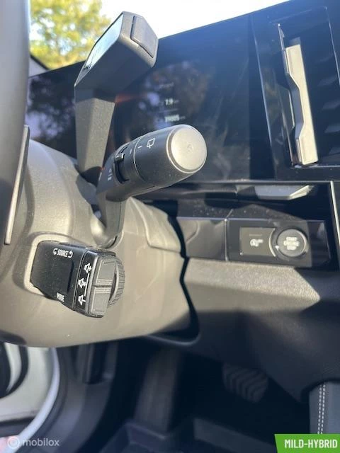 Hoofdafbeelding Renault Austral