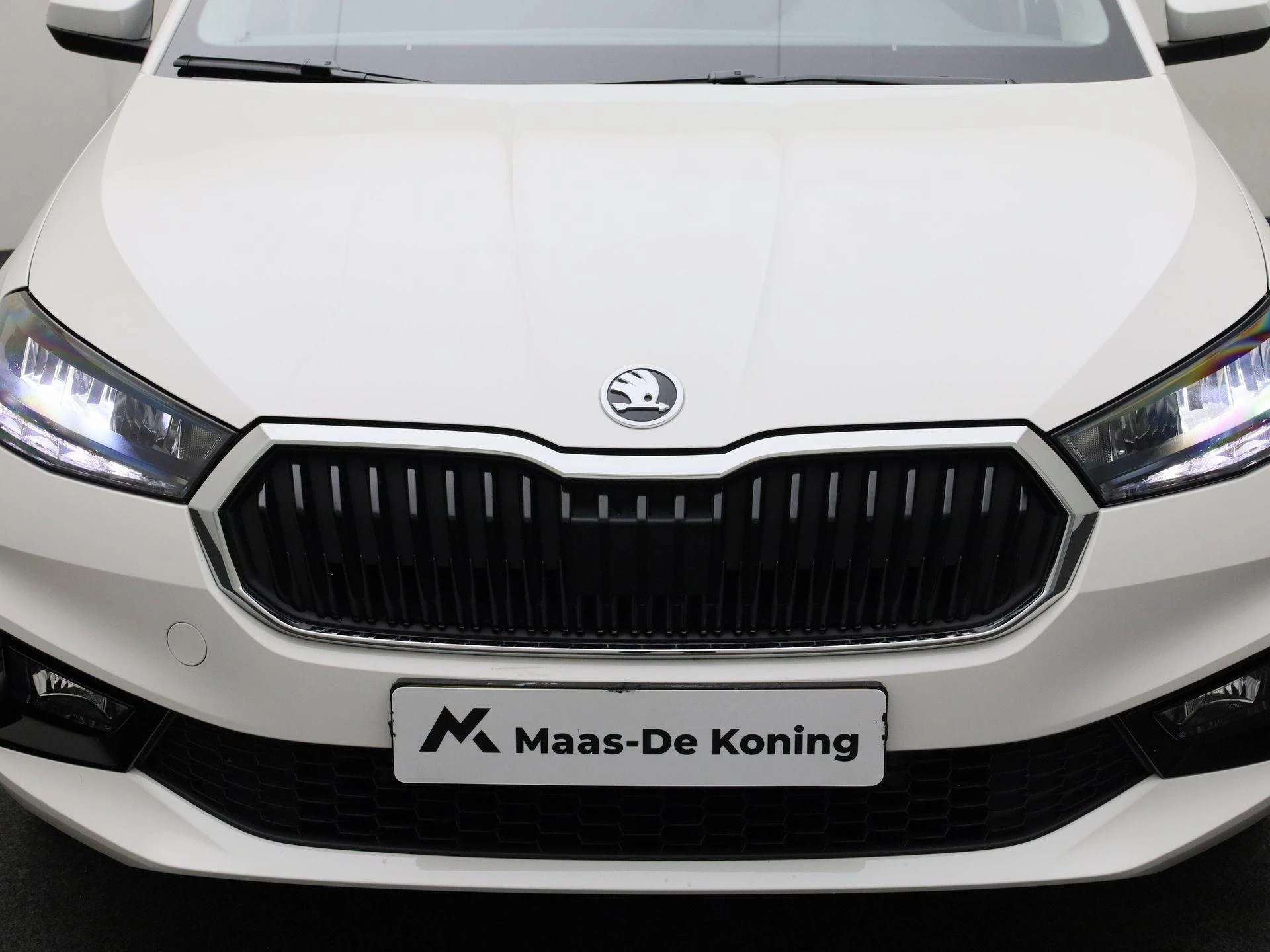 Hoofdafbeelding Škoda Fabia