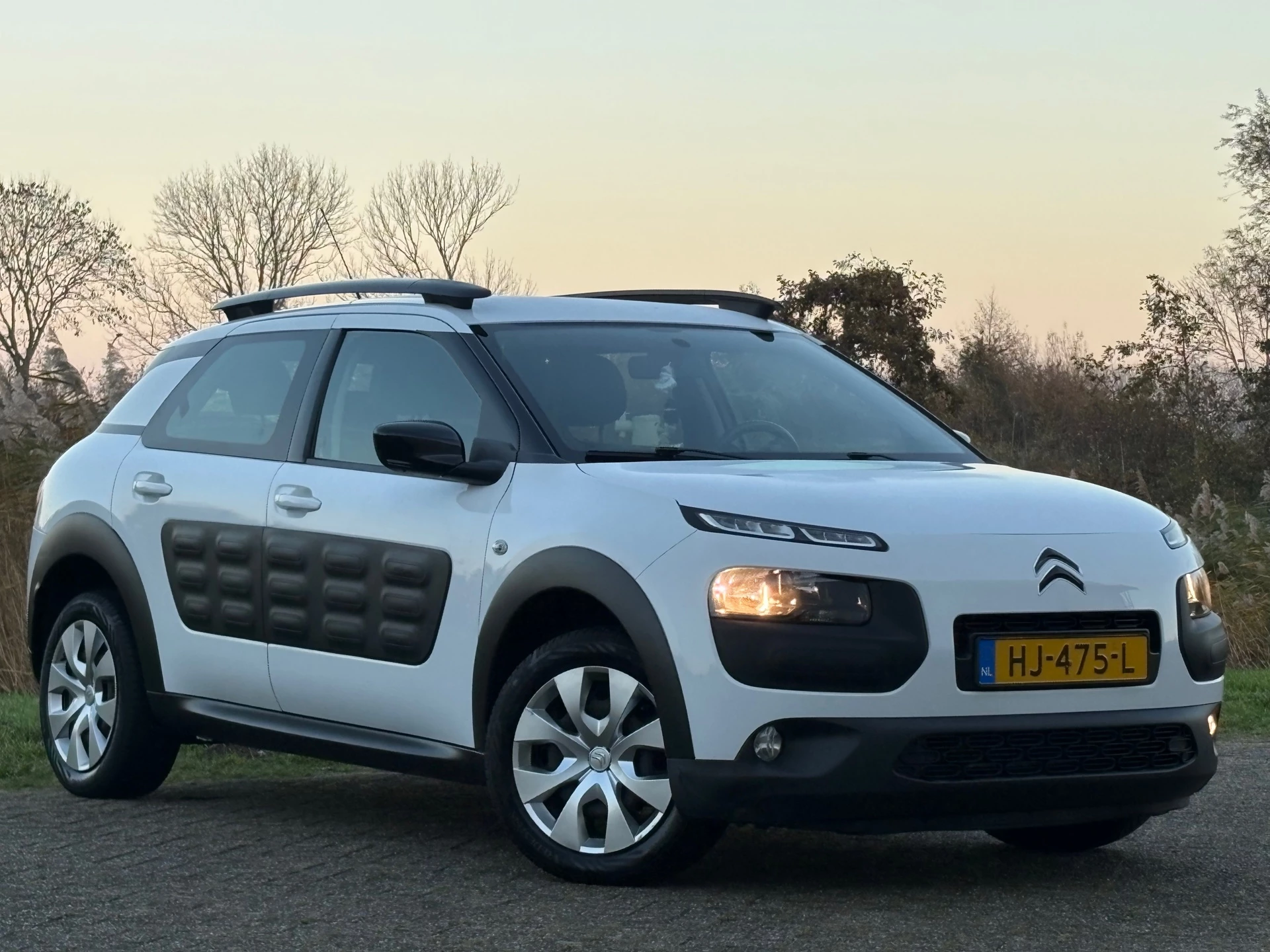 Hoofdafbeelding Citroën C4 Cactus