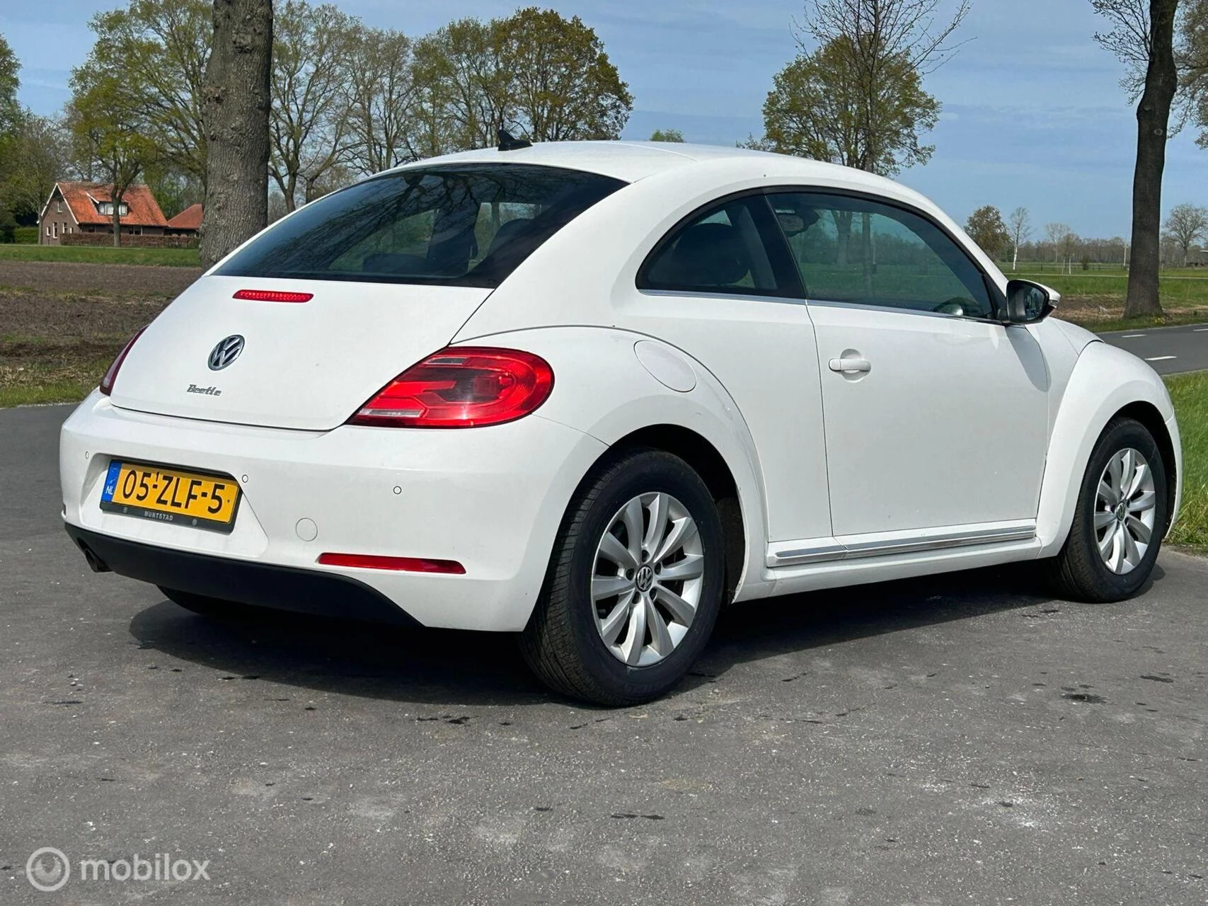 Hoofdafbeelding Volkswagen Beetle